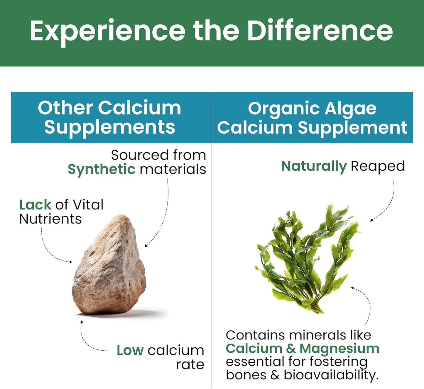 Plant-Based Pure Nutrition Cal D - Algae Calcium Supplement with Vitamin D3, K2, and Magnesium - Vegan Friendly - 120 Tablets - 500mg Calcium per Serving