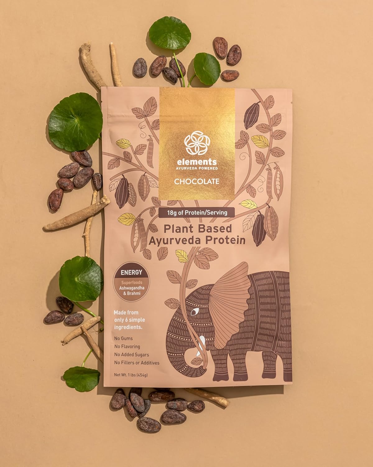 Plant-Based Vegan Chocolate Protein Powder with Pure Organic Yellow Peas & Raw Cacao - Keto-Friendly & Non-GMO - 1lb - 14 Servings