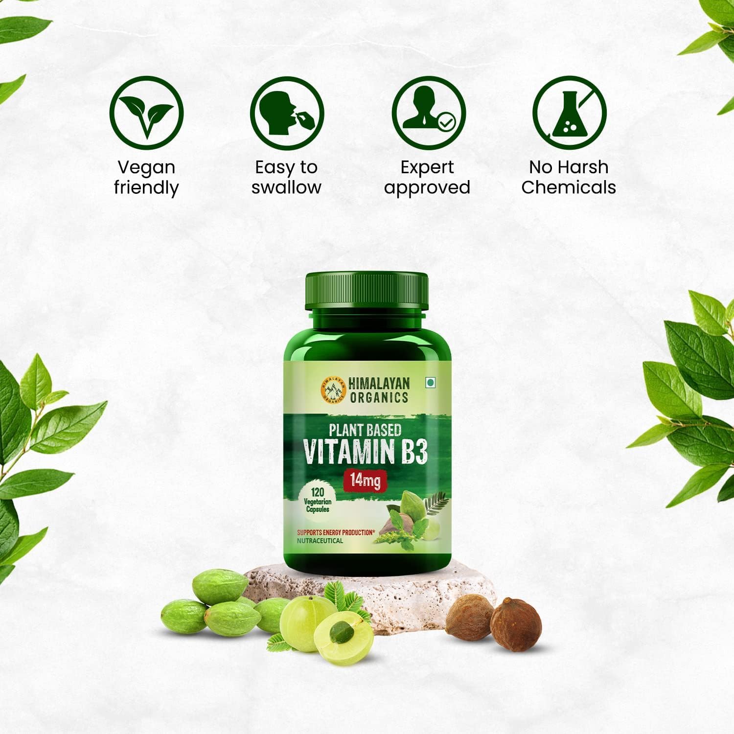 Plant-Based Vitamin B3 Capsules for Healthy Skin and Heart - 120 Count