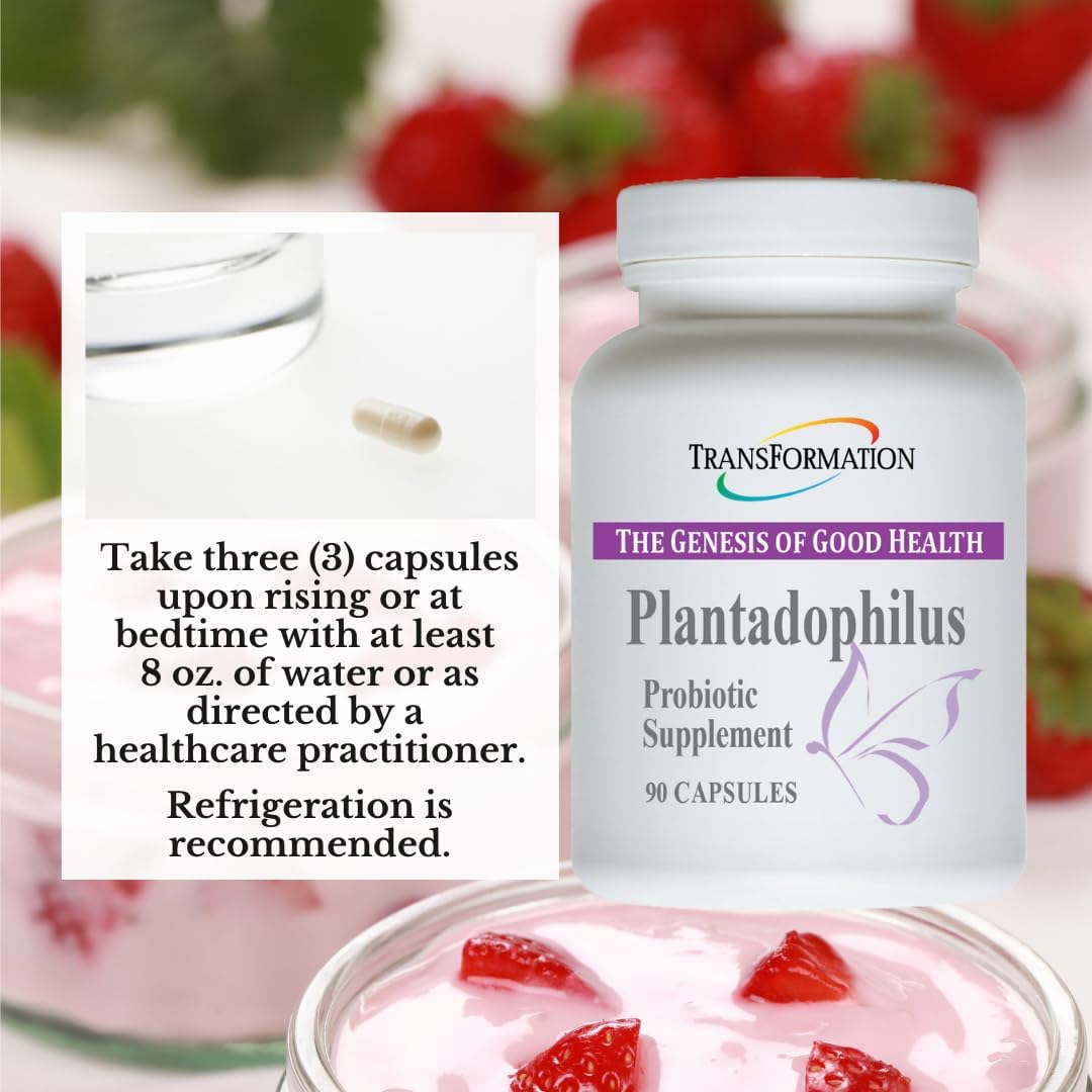 Plantadophilus Natural Plant-Based Probiotics Supplement for Digestive Health, Immune Support, Gut Balance - 90 Capsules, Non-GMO, Practitioner Recommended