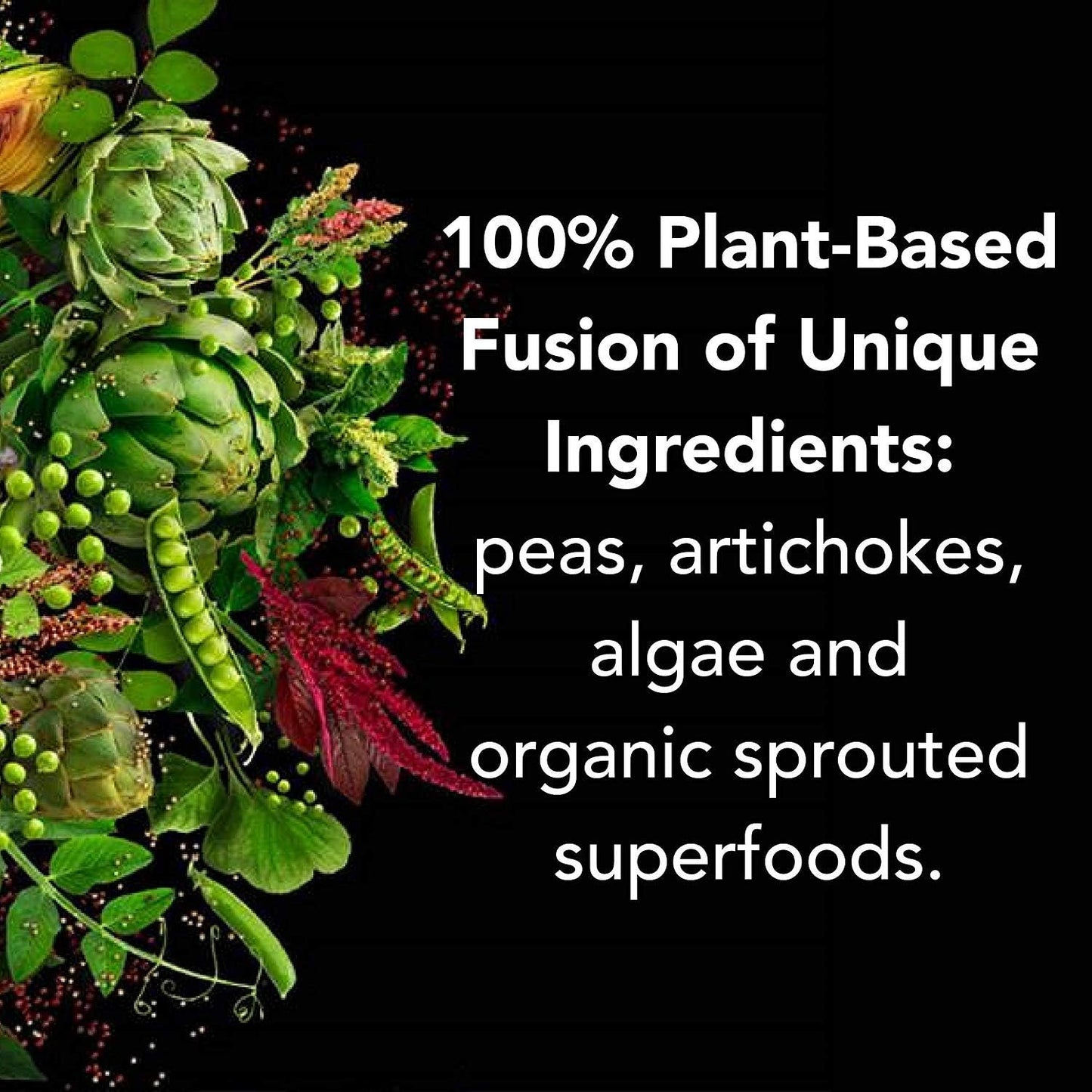 PlantFusion Chocolate Vegan Protein Powder - Complete Plant-Based Protein with BCAAs, Digestive Enzymes, and Pea Protein - Pack of 12
