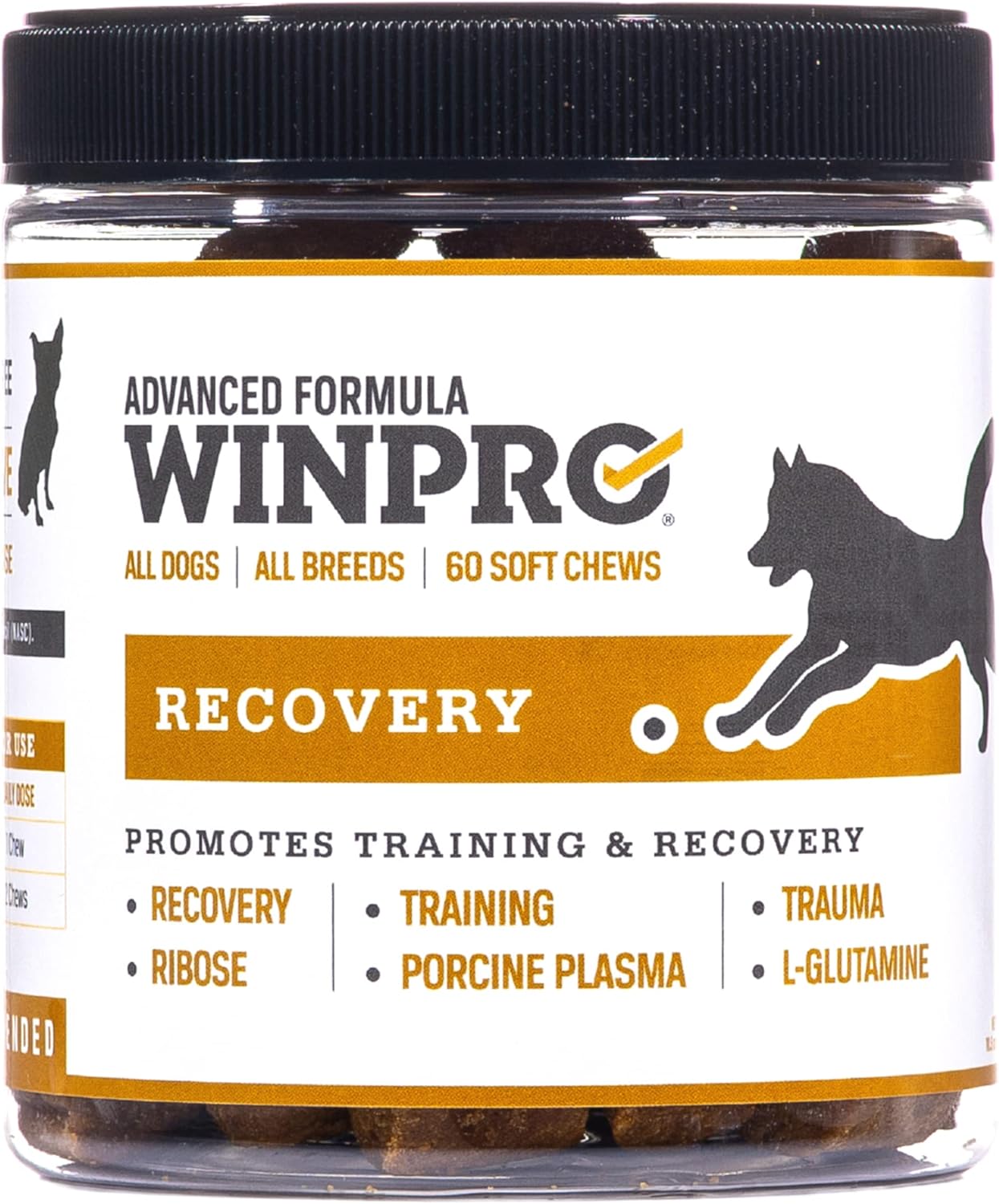 Plasma-Powered WINPRO Recovery Chews for Dogs, 60 Count - Immune System & Training Support, Muscle Recovery & Agility for Active Dogs in USA