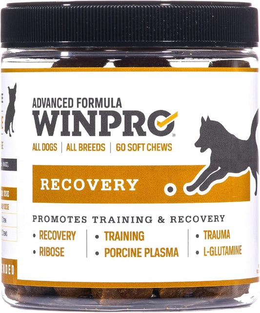 Plasma-Powered WINPRO Recovery Chews for Dogs, 60 Count - Immune System & Training Support, Muscle Recovery & Agility for Active Dogs in USA