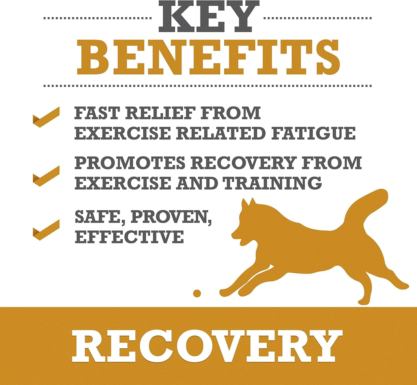 Plasma-Powered WINPRO Recovery Chews for Dogs, 60 Count - Immune System & Training Support, Muscle Recovery & Agility for Active Dogs in USA