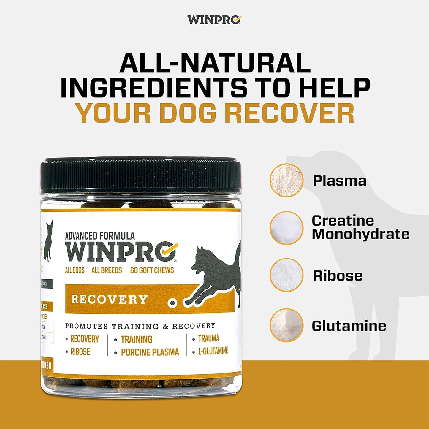 Plasma-Powered WINPRO Recovery Chews for Dogs, 60 Count - Immune System & Training Support, Muscle Recovery & Agility for Active Dogs in USA