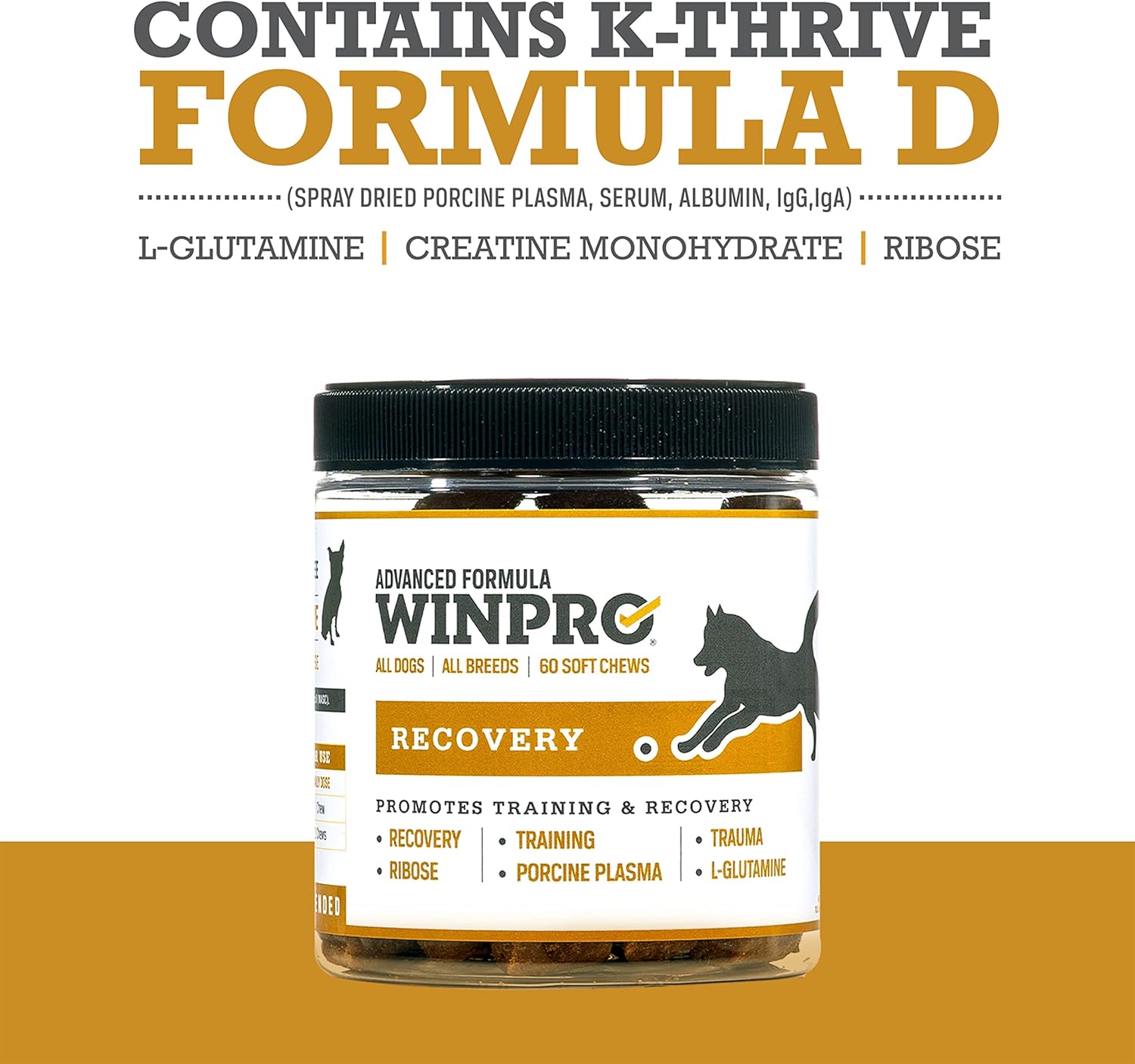 Plasma-Powered WINPRO Recovery Chews for Dogs, 60 Count - Immune System & Training Support, Muscle Recovery & Agility for Active Dogs in USA