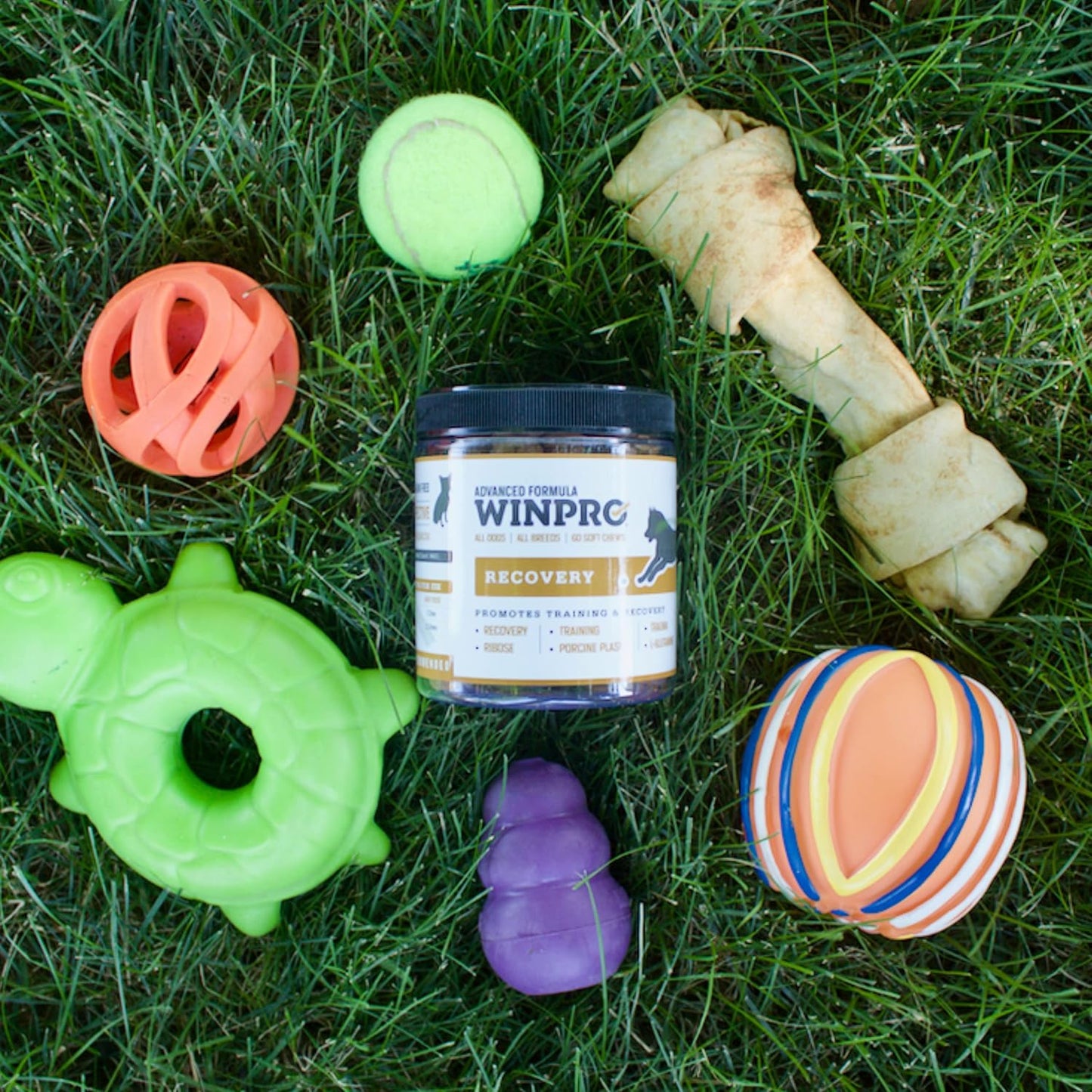 Plasma-Powered WINPRO Recovery Chews for Dogs, 60 Count - Immune System & Training Support, Muscle Recovery & Agility for Active Dogs in USA