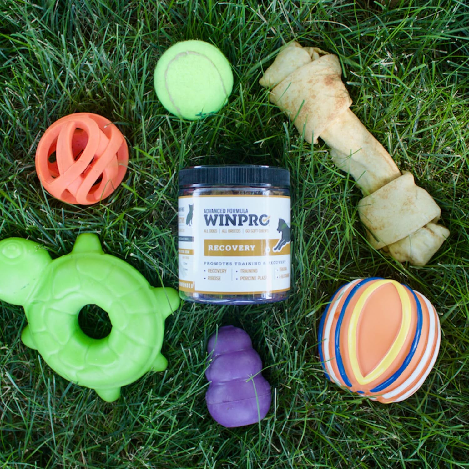 Plasma-Powered WINPRO Recovery Chews for Dogs, 60 Count - Immune System & Training Support, Muscle Recovery & Agility for Active Dogs in USA