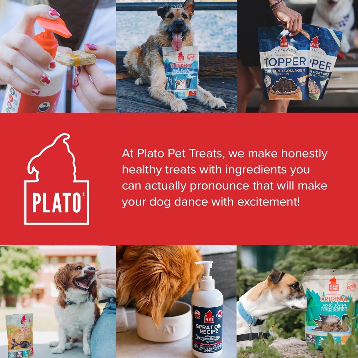 PLATO Wild Alaskan Salmon Oil Kibble Topper - Enhance Dog Food with Omega-3 & Omega-6 for Skin & Coat - 8 oz