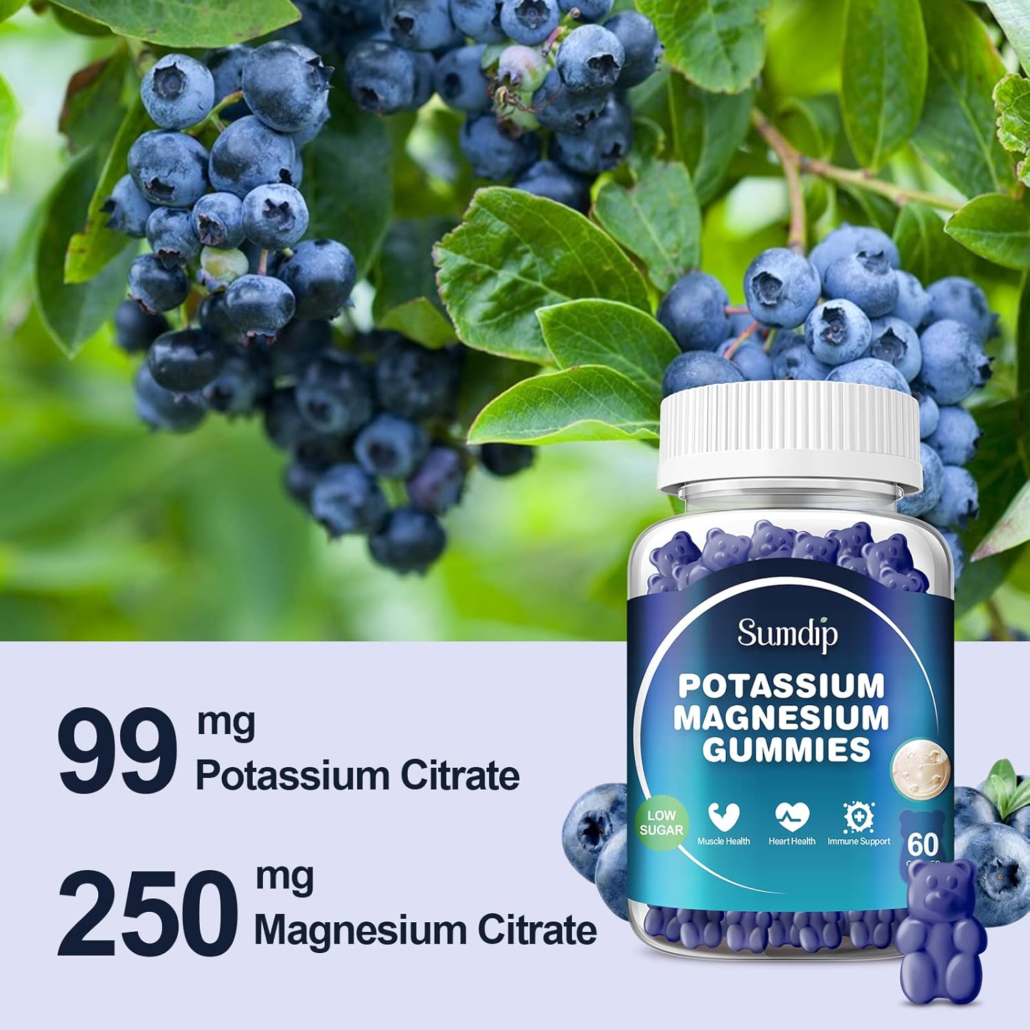 Potassium Magnesium Gummies for Leg Cramp Relief | High Absorption Citrate Formula | 60 Gummies for Men & Women