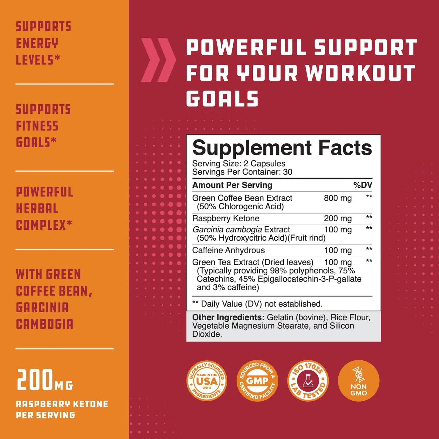 Potent Weight Loss Bundle: Raspberry Ketones, Green Tea Extract, African Mango & Zinc Gummies - Gluten & Gelatin Free for Adults