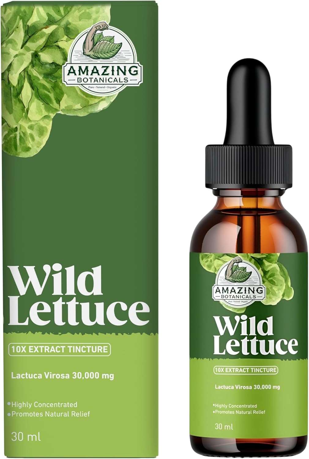 Potent Wild Lettuce 10X Extract Tincture - 30,000 mg - 1 Fl Oz - Natural Botanicals