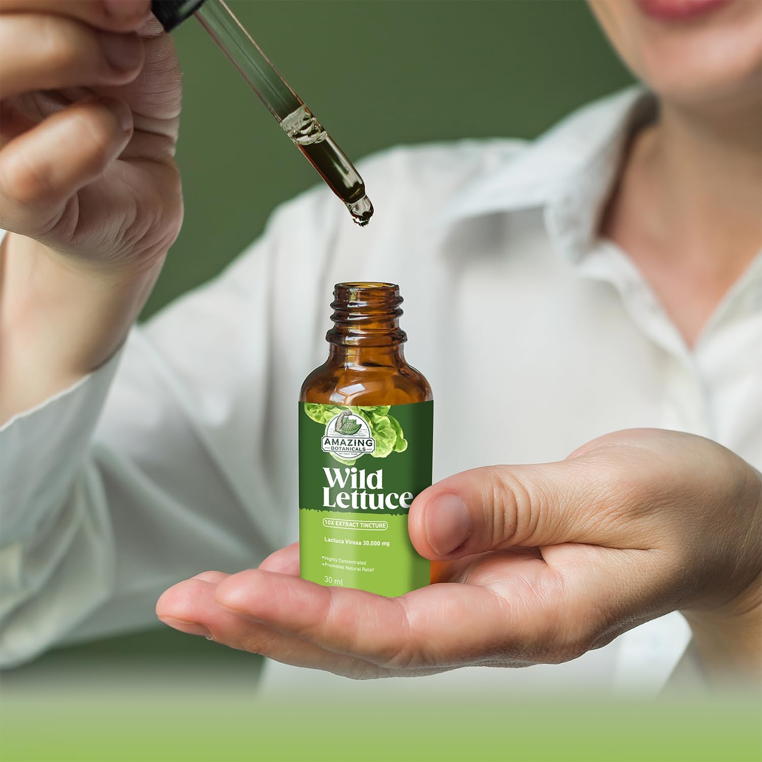Potent Wild Lettuce 10X Extract Tincture - 30,000 mg - 1 Fl Oz - Natural Botanicals