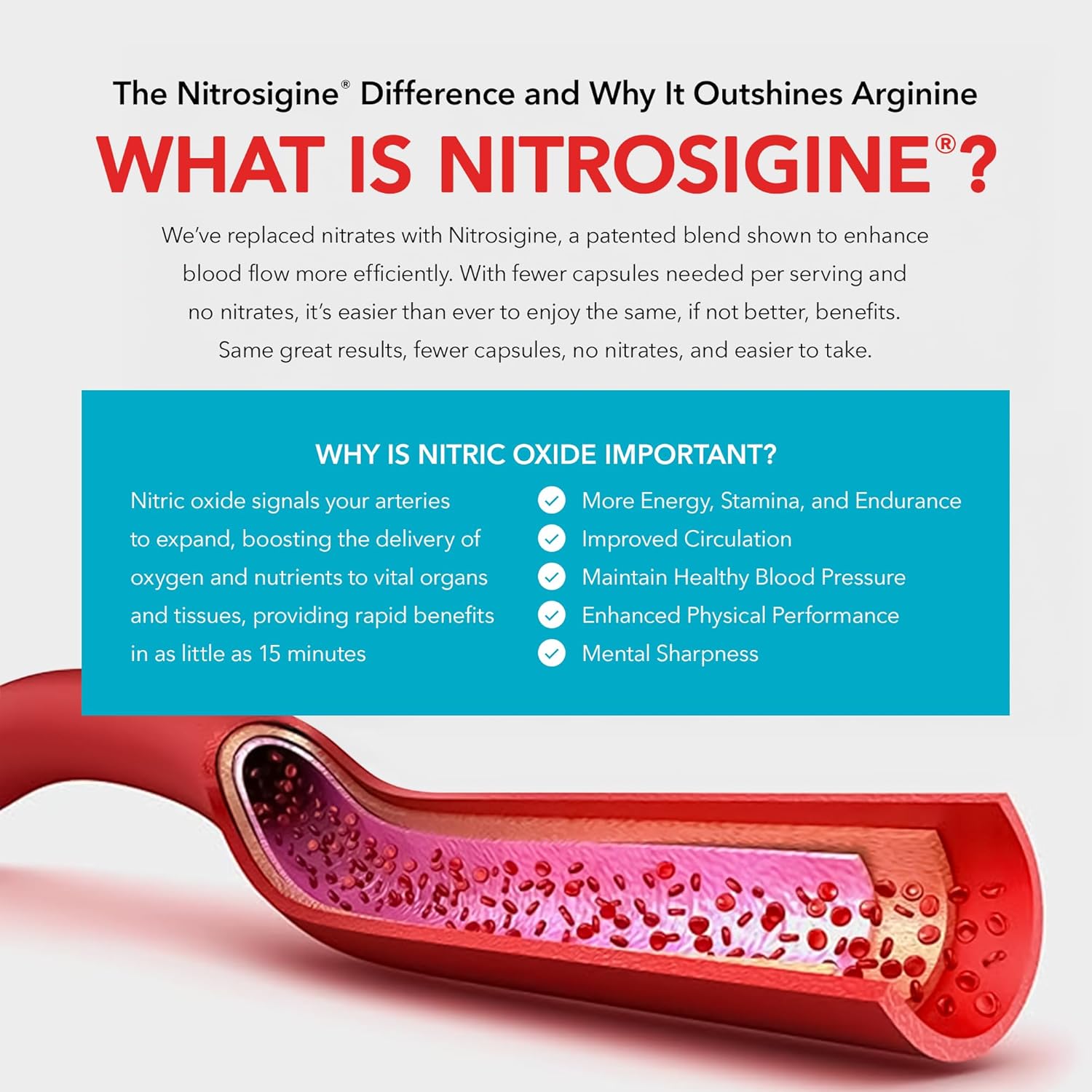 Powerful Circulation Support Supplement for Daily Wellness - Juvenon Advanced BloodFlow-7 Nitro XXXL Formula Boosts Performance and Energy Levels