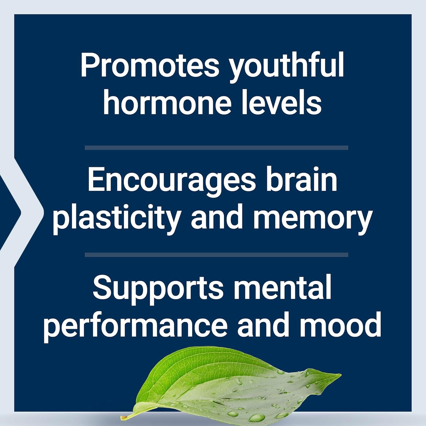 Pregnenolone Supplement for Hormone Balance - 100mg Capsules for Memory, Focus, and Cognitive Health - Gluten-Free, Non-GMO