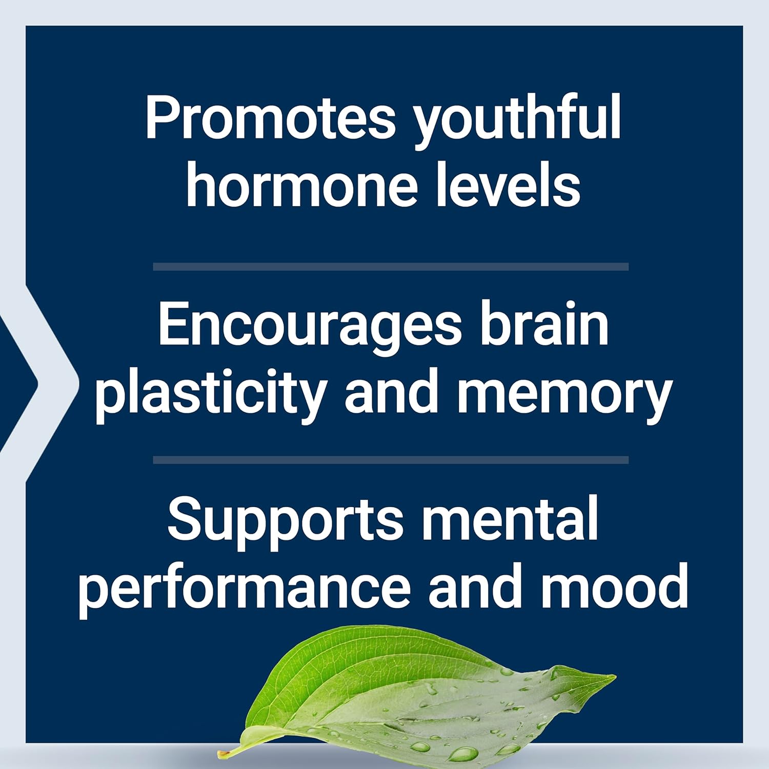 Pregnenolone Supplement for Hormone Balance - 100mg Capsules for Memory, Focus, and Cognitive Health - Gluten-Free, Non-GMO