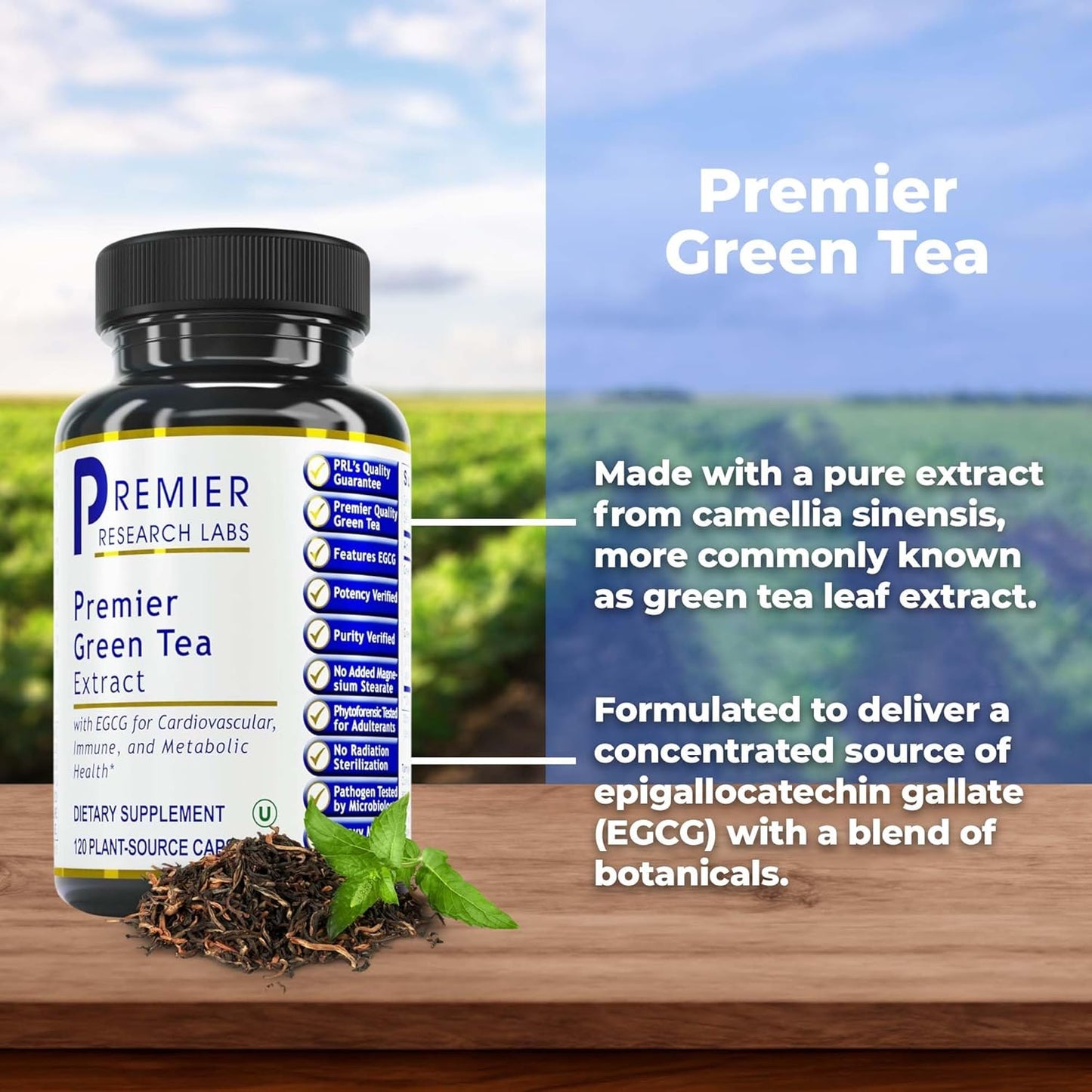 Premier Research Labs Green Tea Extract Capsules - ECGC, Camellia Sinensis, Vegan - 120 Vegetarian Pills