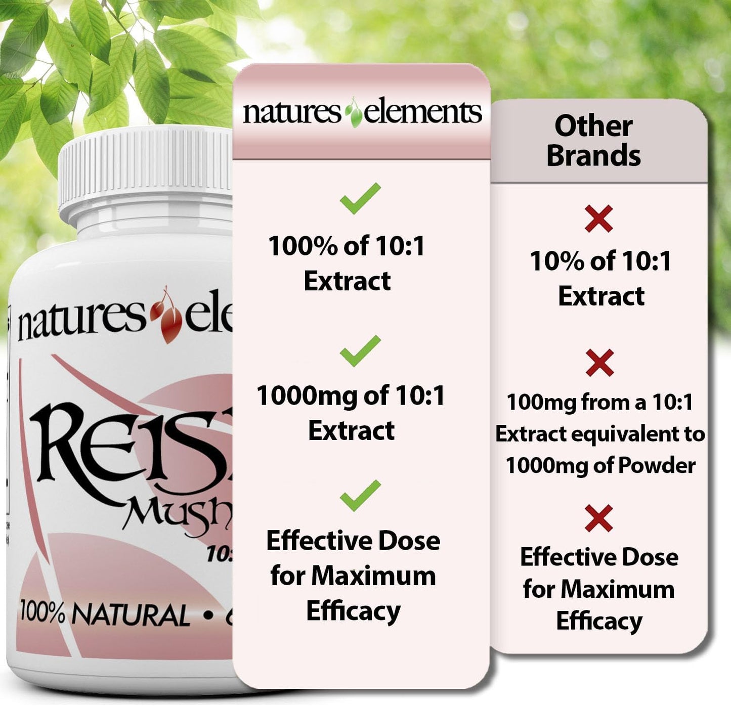 Premium 10:1 Reishi Mushroom Extract Capsules - Immune Support - Pack of 3 - Vegetarian & Gluten Free - 1,000mg Per Serving - 100% Pure Ganoderma Lucidum Supplement