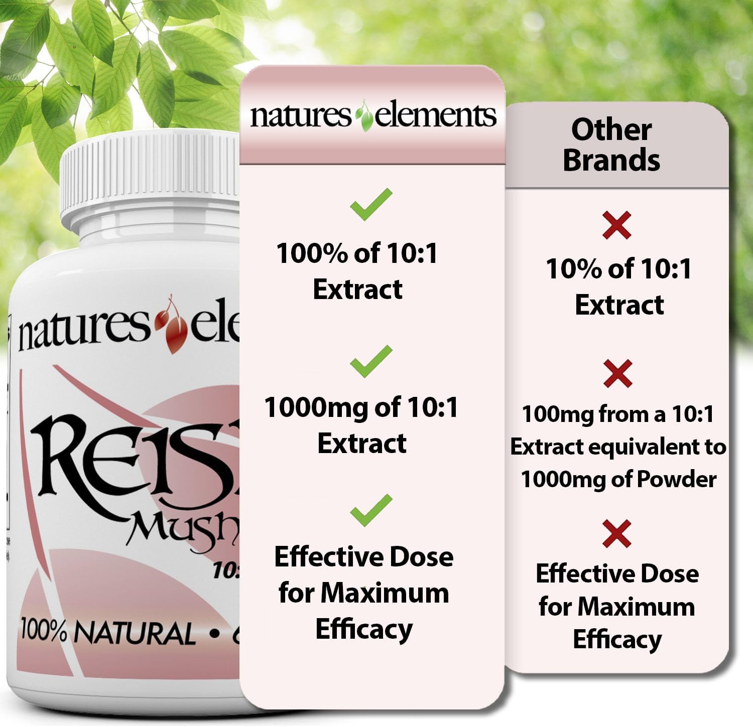 Premium 10:1 Reishi Mushroom Extract Capsules - Immune Support - Pack of 3 - Vegetarian & Gluten Free - 1,000mg Per Serving - 100% Pure Ganoderma Lucidum Supplement