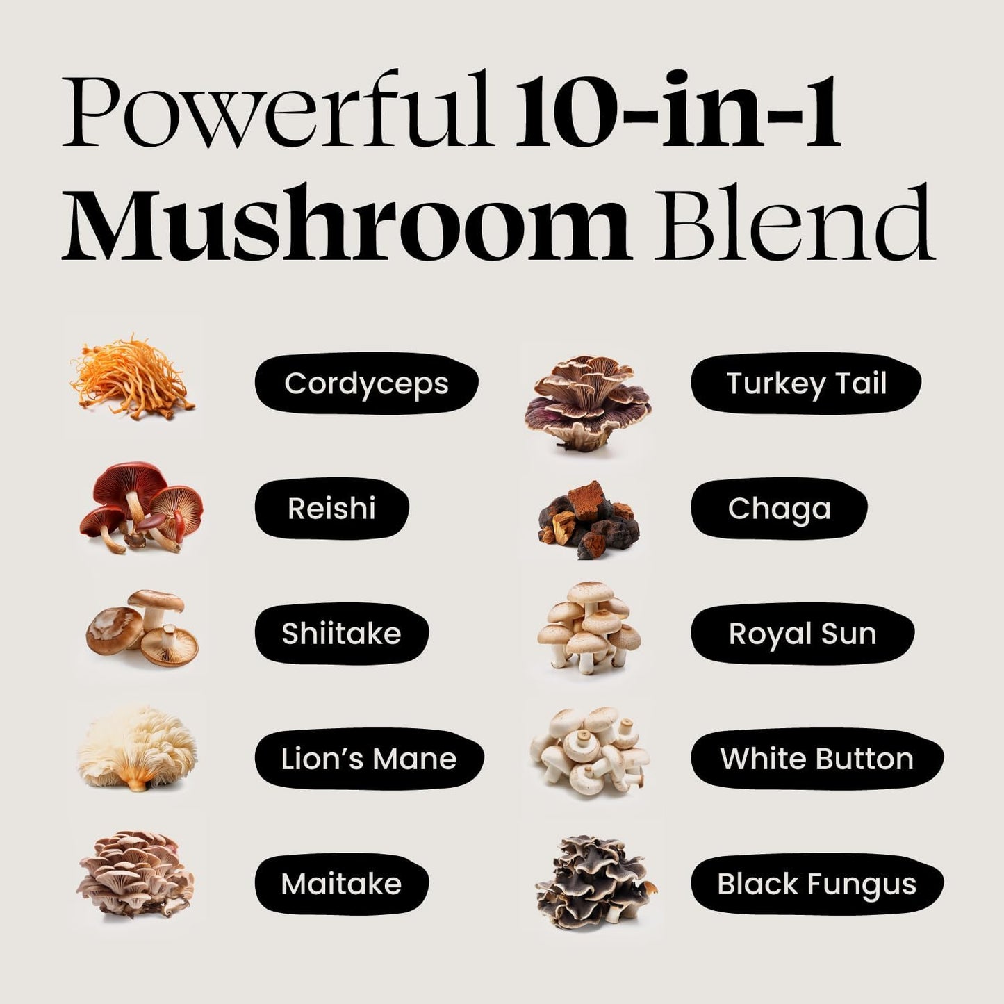 Premium 10x Mushroom Complex Supplement for Immunity, Energy, Mood, and Focus - Natural Health Booster, 90 Capsules