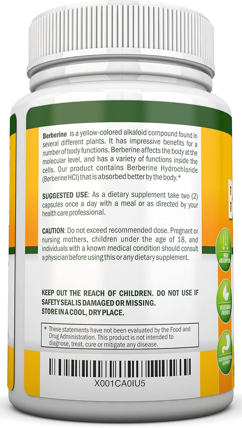 Premium 1200mg Berberine HCL Supplement - 90 Capsules for Immune Health - Vegetarian Formula - High Potency NutriONN Berberine