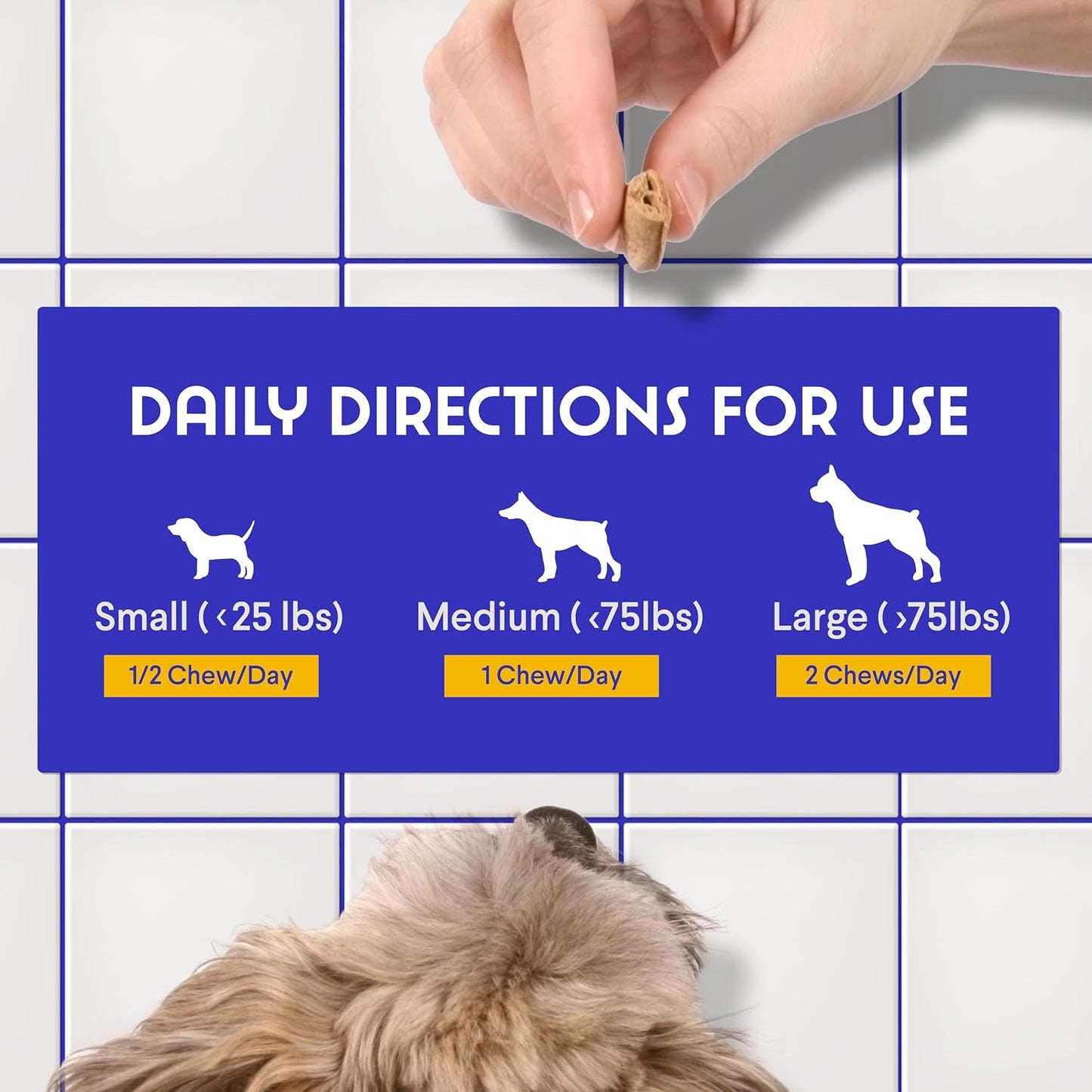 Premium 21-in-1 Multivitamin Chews for Dogs - Immune, Joint, Skin & Heart Health - 60 Count