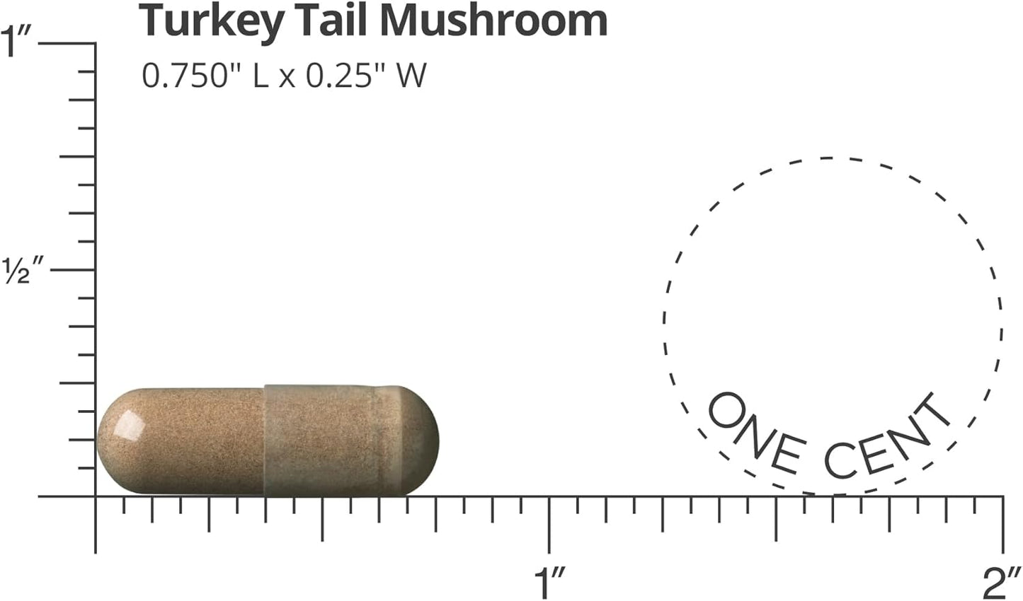 Premium 800 MG Turkey Tail Mushroom Supplement - 90 Vegan Capsules, Recommended by Doctors