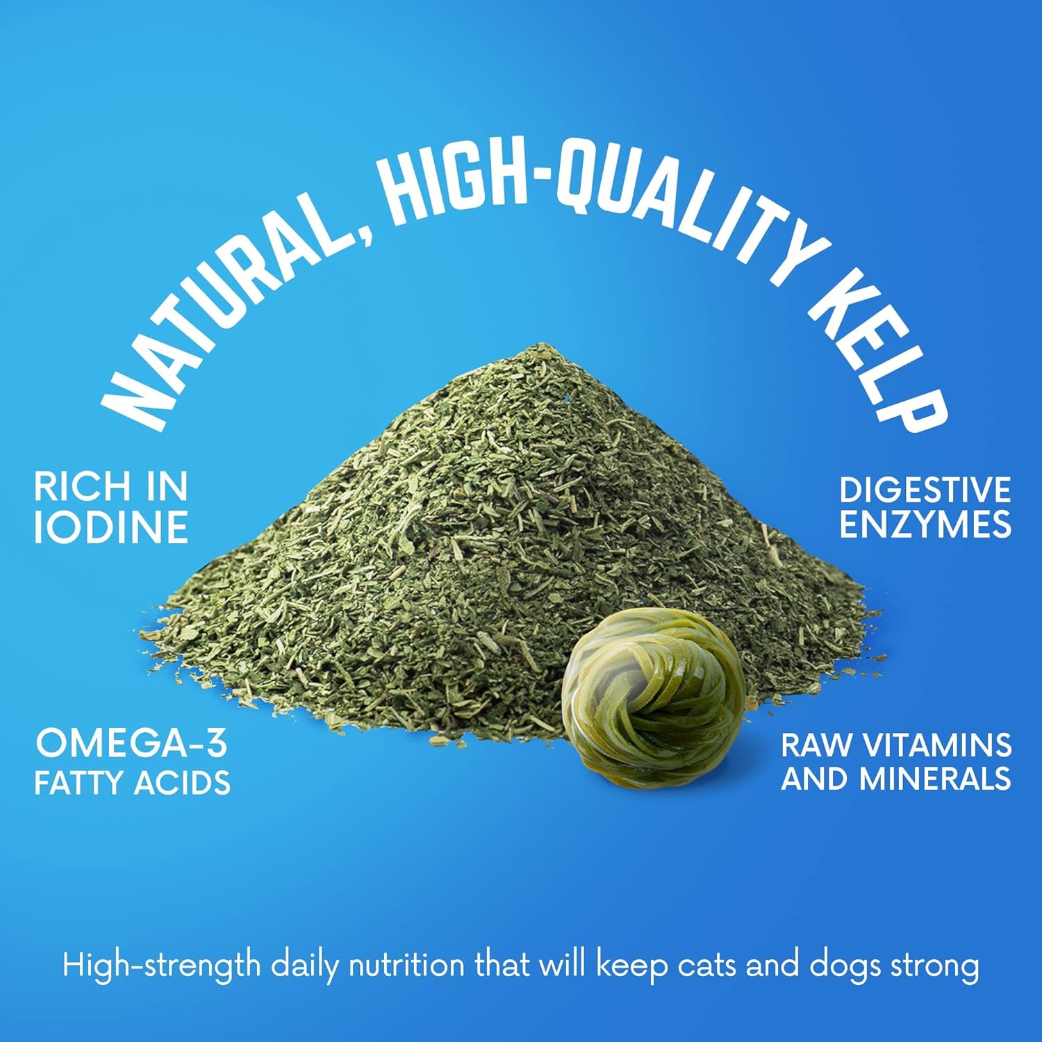 Premium Back 40 Dogs Kelp Powder Supplement - 453g for Optimal Pet Health - Rich in Iodine & Omegas - Supports Thyroid, Dental, Immune, Digestive, & Heart Health