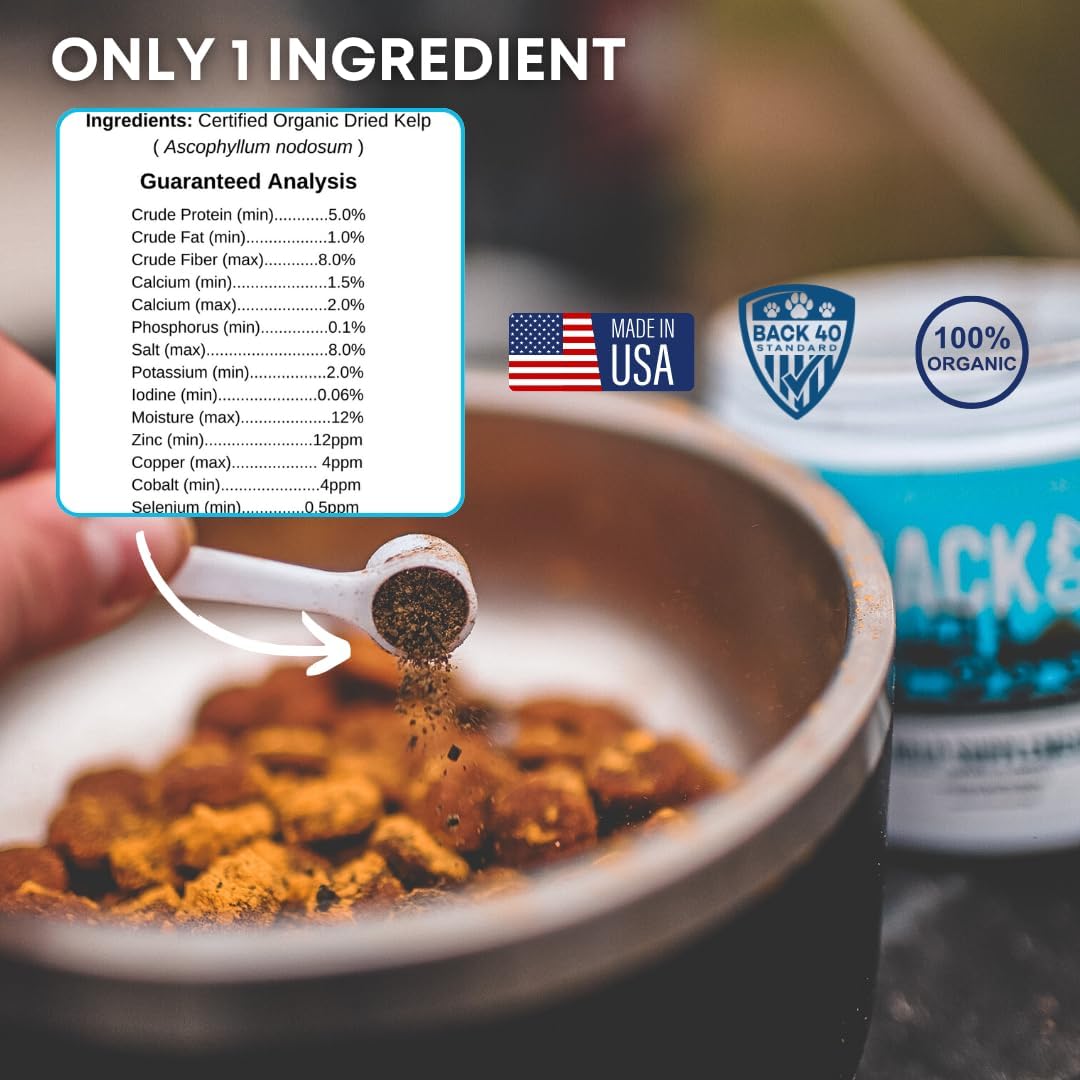Premium Back 40 Dogs Kelp Powder Supplement - 453g for Optimal Pet Health - Rich in Iodine & Omegas - Supports Thyroid, Dental, Immune, Digestive, & Heart Health