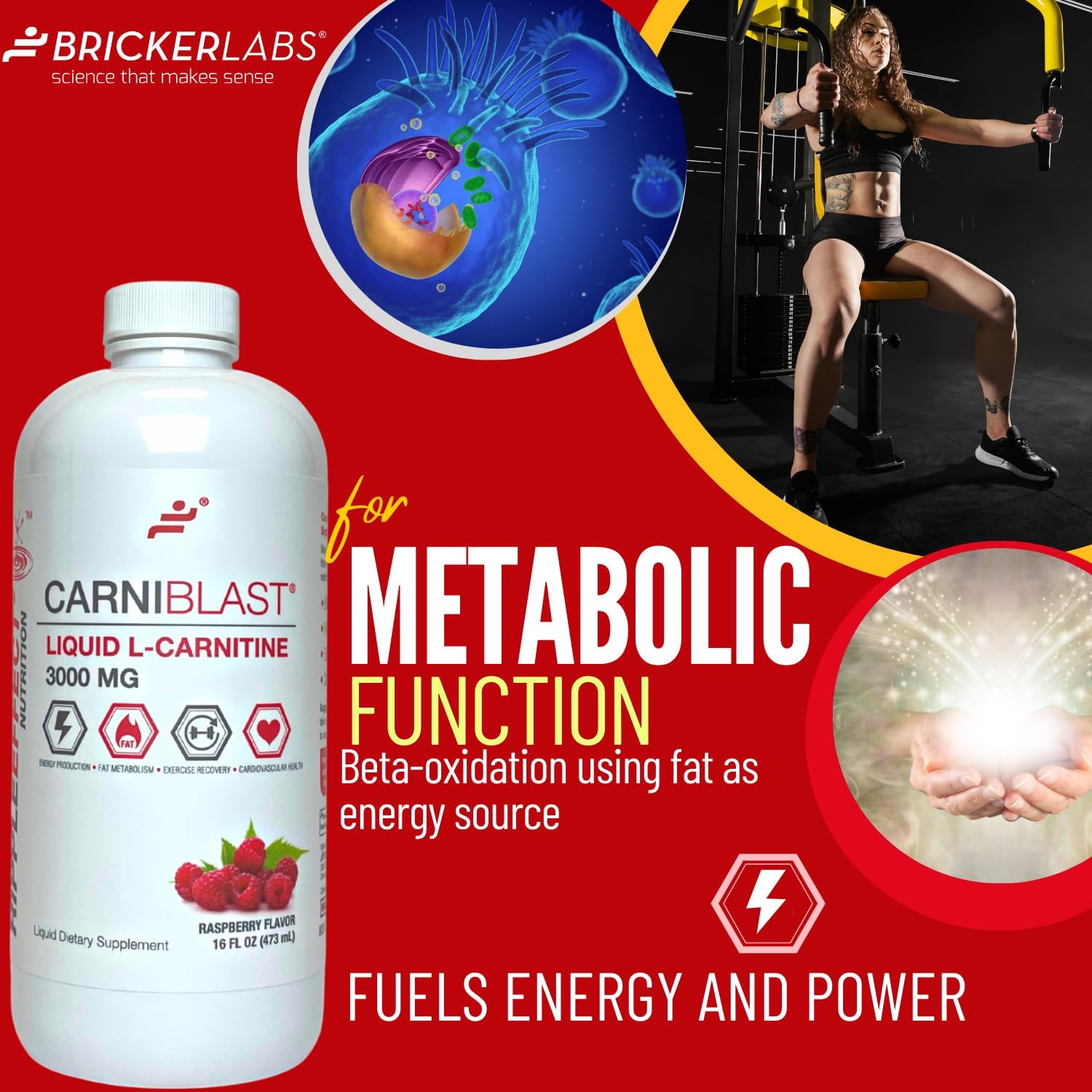 Premium Bricker Labs CARNIBLAST Liquid L-Carnitine 3000mg Energy Supplement, Raspberry Flavor - 16 fl oz
