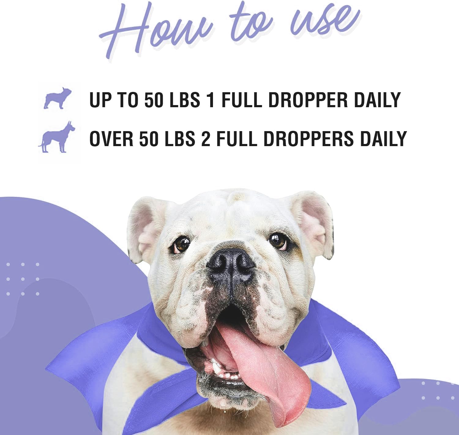 Premium Dog Immune Support Liquid with DMG & Omega Max Fish Oil for Skin, Allergies, Joints - 4oz DMG, 16oz Omega Max