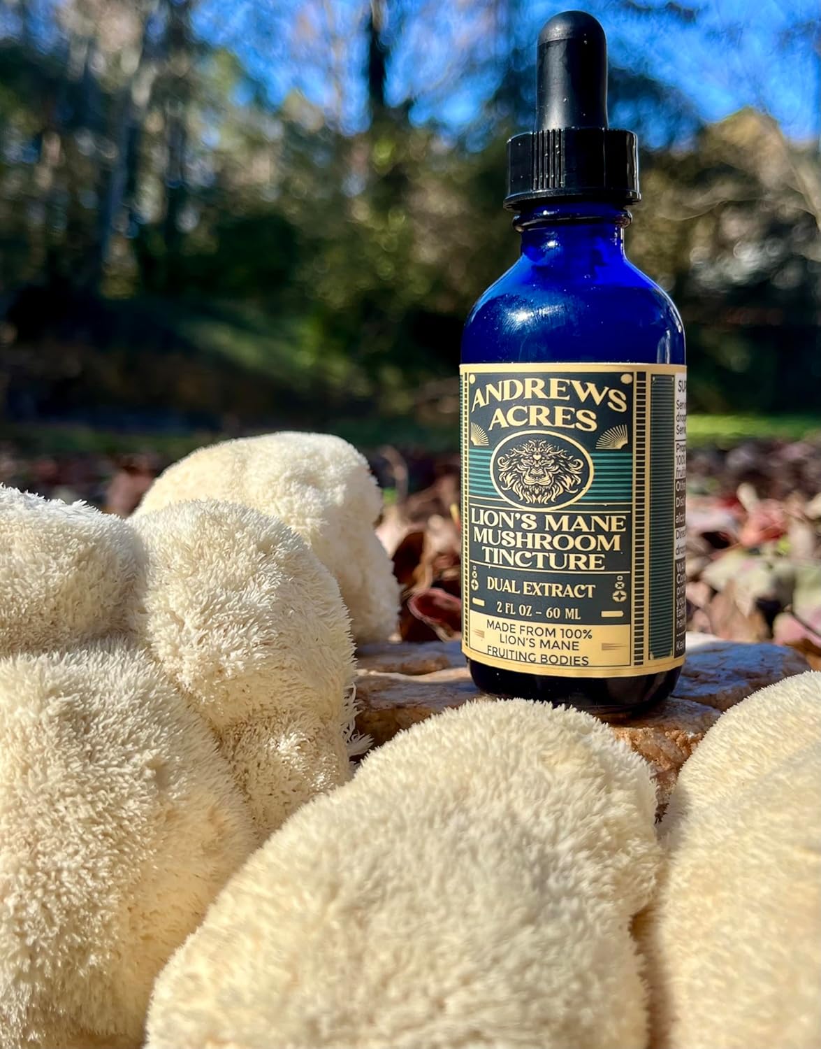 Premium Dual Extract Lion's Mane Tincture - 100% Fruiting Bodies (2 oz) - Andrews Acres