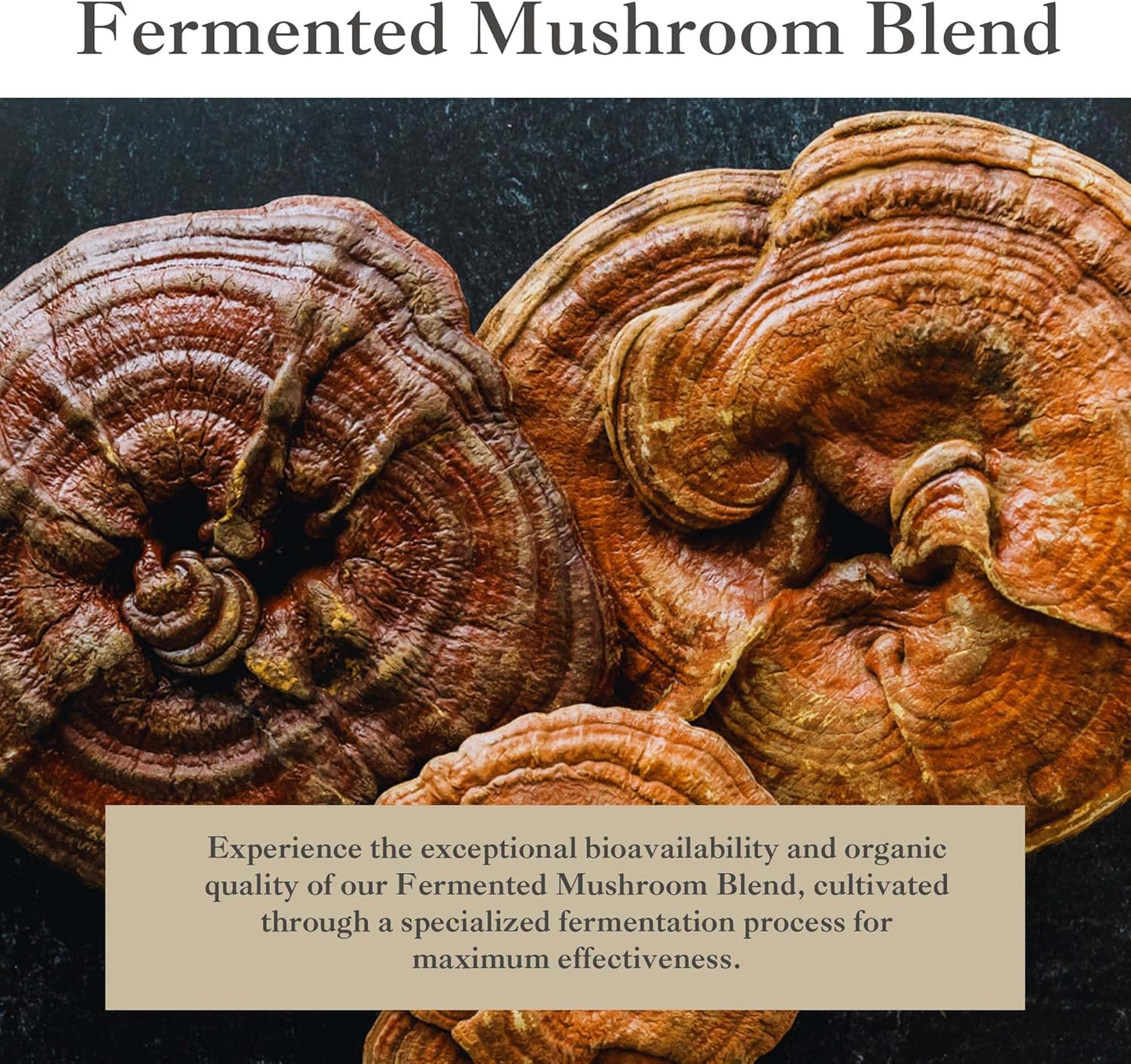 Premium Fermented Mushroom Blend with Prebiotics, Fibers, and Vitamin C for Immunity - Non-GMO & Gluten-Free - 210g