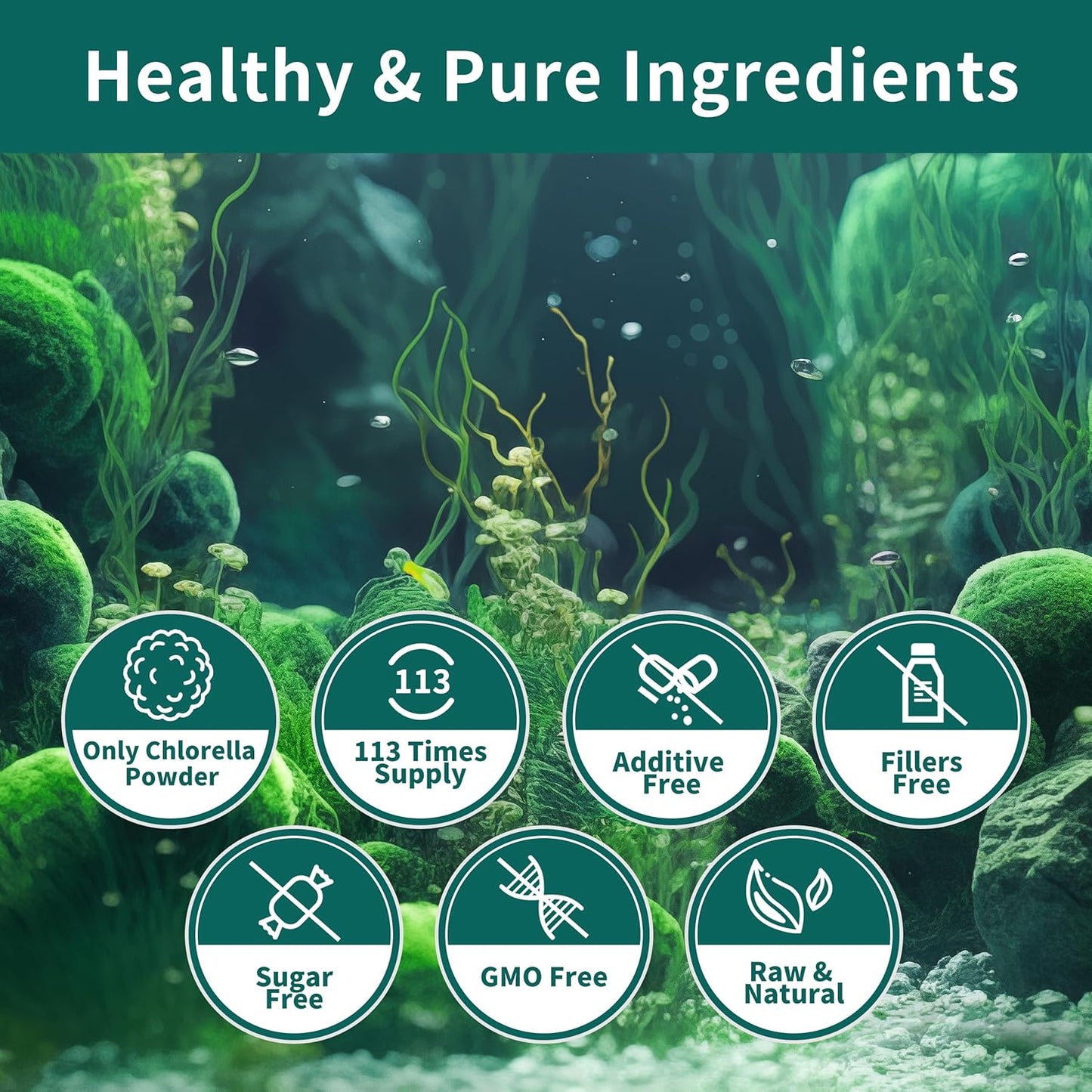 Premium Hudetex Chlorella Powder - 12 oz Chlorophyll Powder for Immune & Liver Health, Vegan Protein & Vitamin-Rich Youth Formula