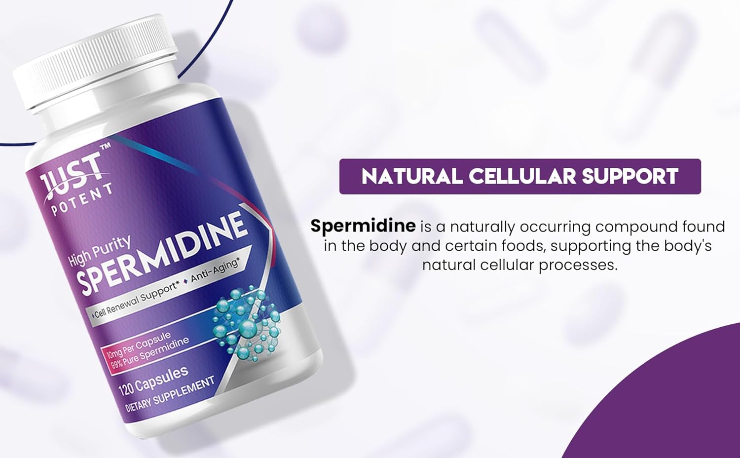 Premium Just Potent 99% Purity Spermidine Supplement | 120 Capsules, 10mg Each | 4-Month Supply for Cell Renewal & Anti-Aging