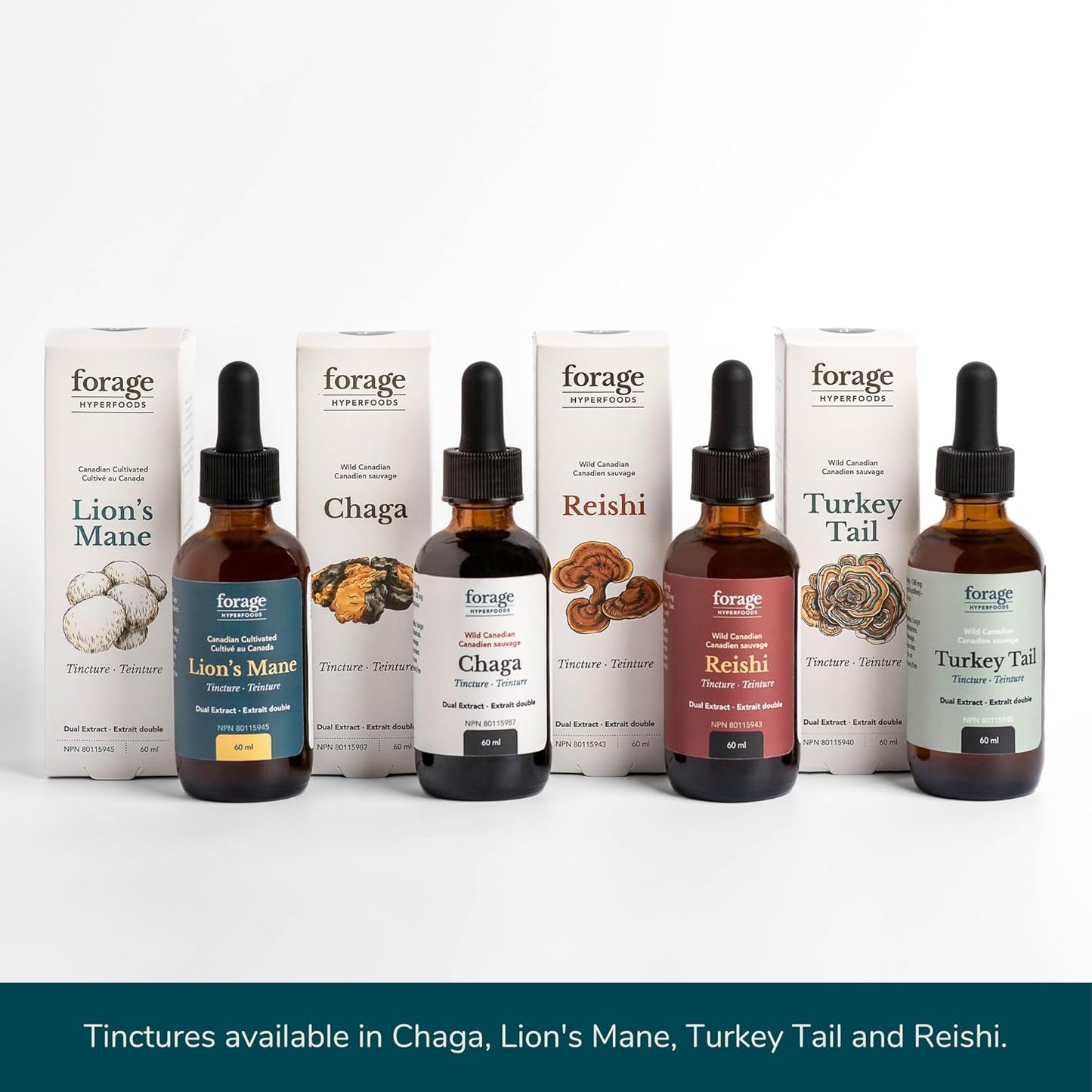 Premium Lion’s Mane Tincture for Memory and Nerve Support, 60ml - Dual Extract Mushroom Supplement by Forage Hyperfoods