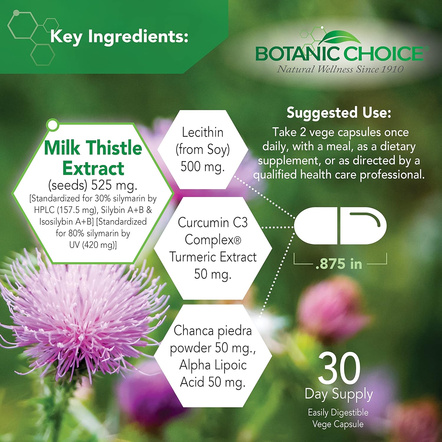 Premium Liver Health Support Supplement with Milk Thistle Extract, Lecithin, Curcumin - Botanic Choice Liver 10 Complex - 60 Pills