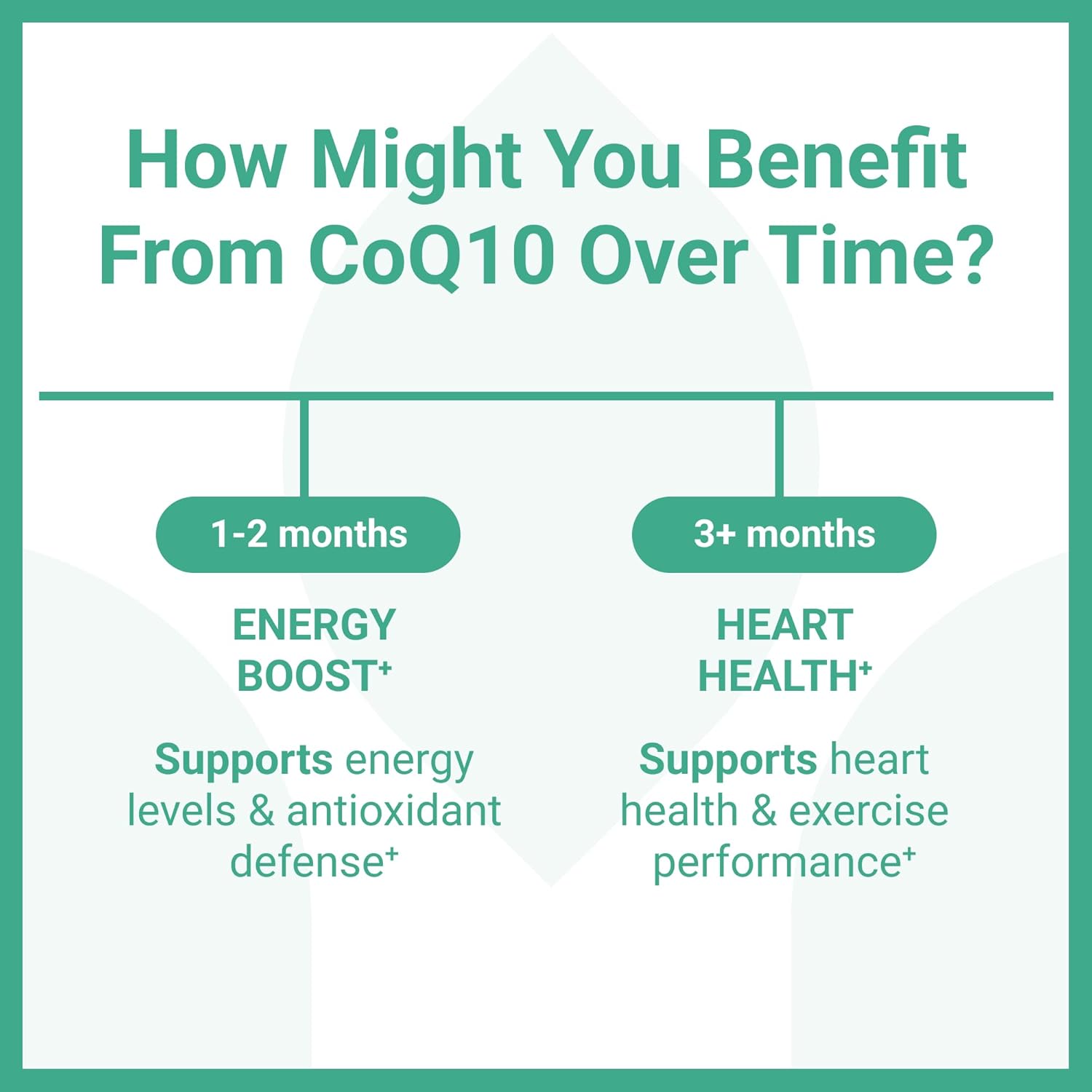 Premium Luma Nutrition CoQ10 400mg Softgels - High Potency Coenzyme Q10 - 60 Liquid Softgels, 2x200mg per Serving