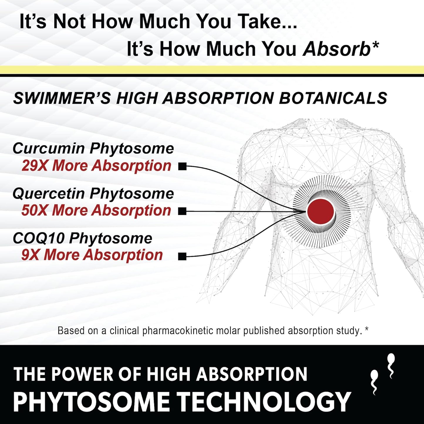 Premium Male Fertility Blend for Healthy Conception - 120 Capsules | Natural Swimmers Support for Men | Optimal Sperm Count & Motility | Multivitamin & Prenatal for Male Health