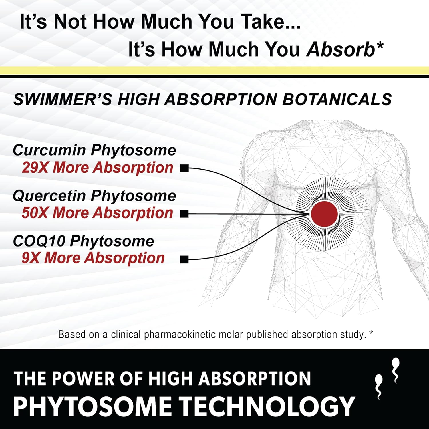 Premium Male Fertility Blend for Healthy Conception - 120 Capsules | Natural Swimmers Support for Men | Optimal Sperm Count & Motility | Multivitamin & Prenatal for Male Health