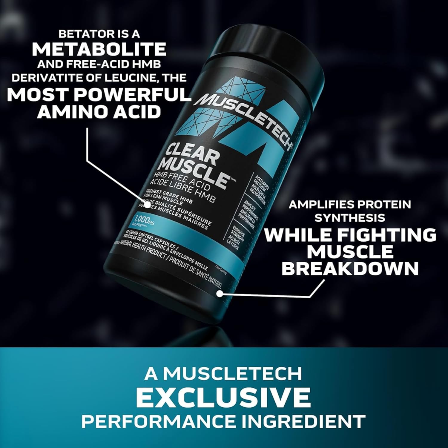 Premium Muscletech HMB Supplements: Clear Muscle Liquid Softgels - 1000mg Highest Grade HMB for Lean Muscle & Recovery - Free Acid Muscle Supplement - Reduce Muscle Breakdown - 42 Softgels