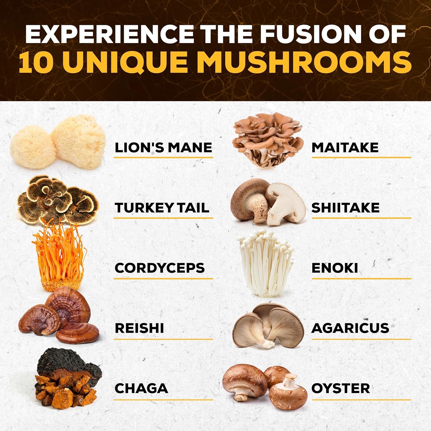 Premium Mushroom Supplement 10x Complex - Lions Mane, Turkey Tail, Cordyceps, Reishi, Chaga, Maitake, Shiitake, Oyster Extract - Brain Support Nootropic for Memory and Focus