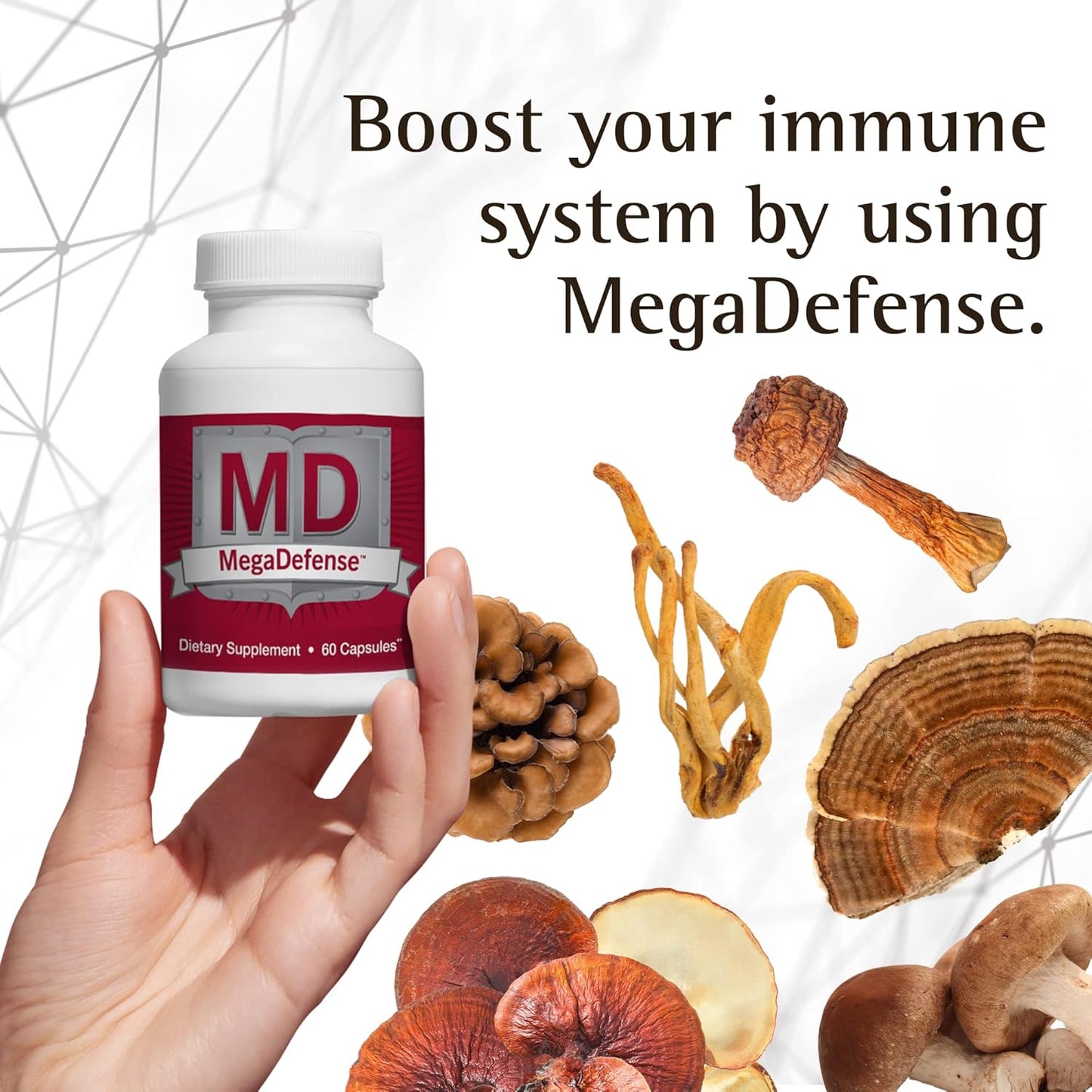 Premium Mushroom Supplement with Reishi, Turkey Tail, Cordyceps, Maitake, Agaricus & Shiitake - Non-GMO Mushroom Capsules for Daily Wellness (60 Veggie Caps)