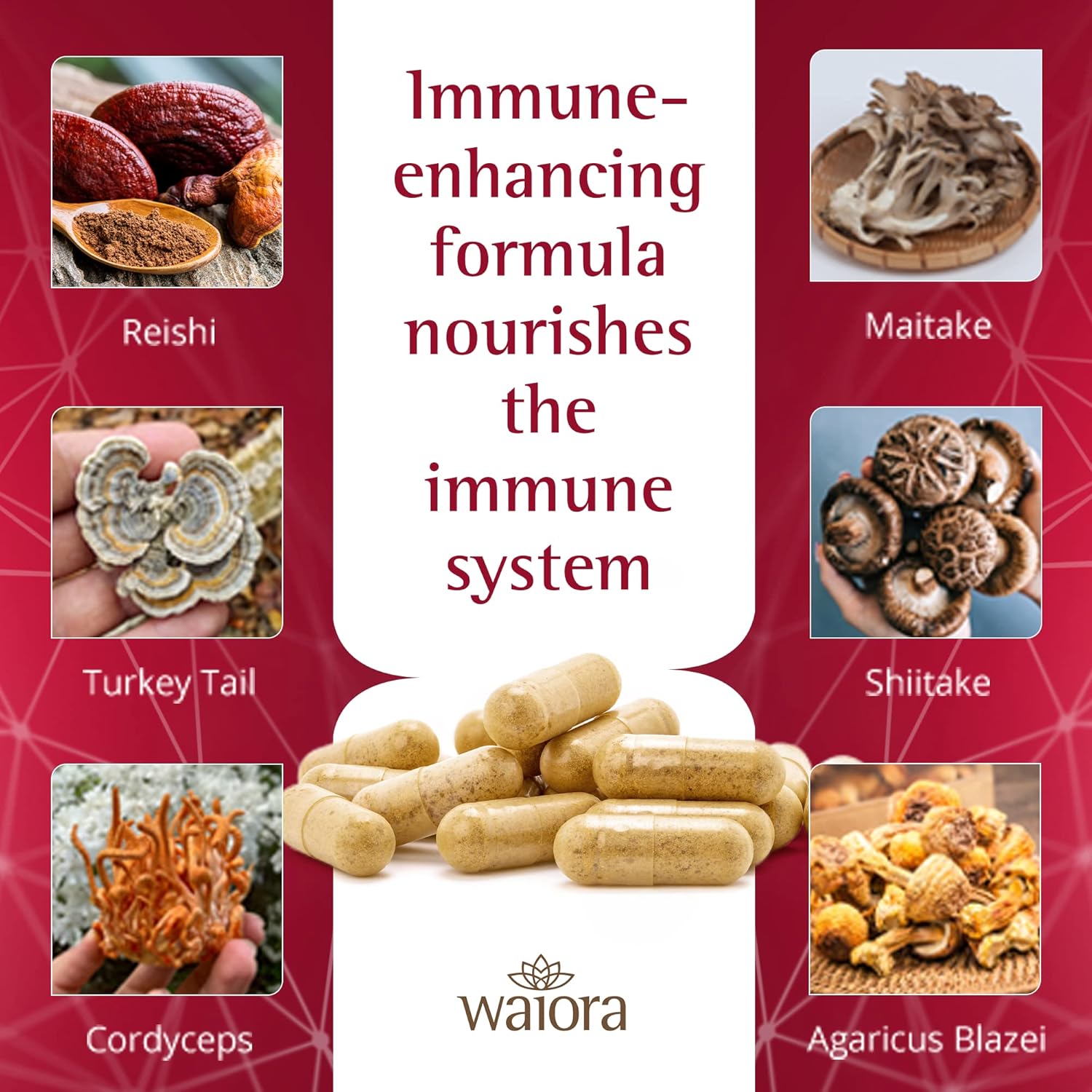 Premium Mushroom Supplement with Reishi, Turkey Tail, Cordyceps, Maitake, Agaricus & Shiitake - Non-GMO Mushroom Capsules for Daily Wellness (60 Veggie Caps)