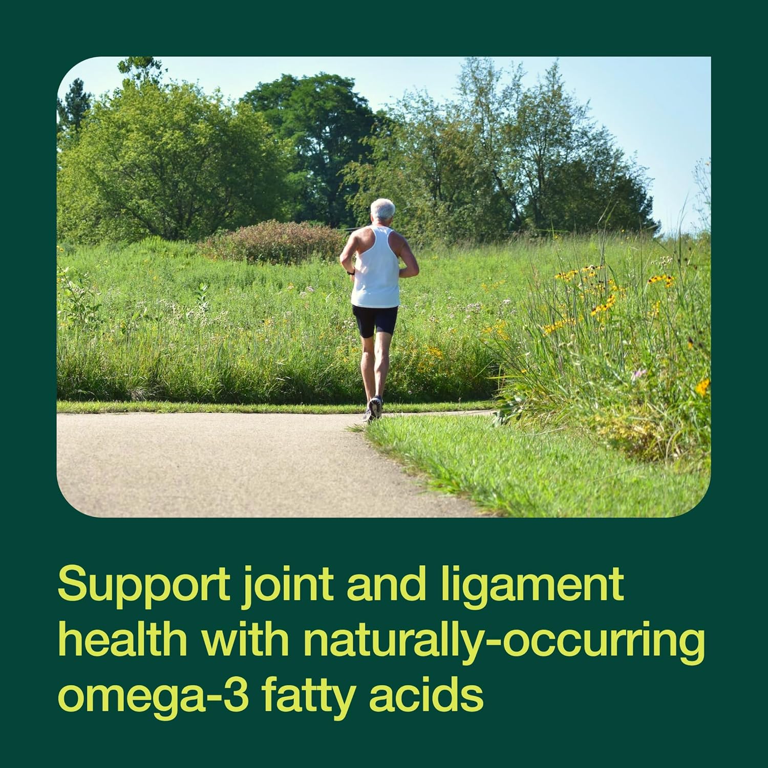 Premium New Zealand Green Lipped Mussel Capsules - DNA Verified & Potent Omega Supplement for Joint Health - 90 Capsules