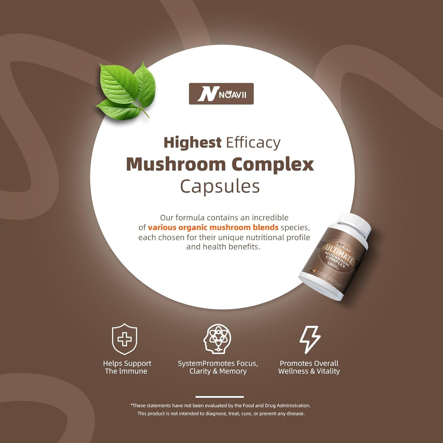 Premium Nootropic Mushroom Complex Supplement - 10 Mushrooms Blend for Brain, Energy, and Focus - 2600mg, 120 Capsules