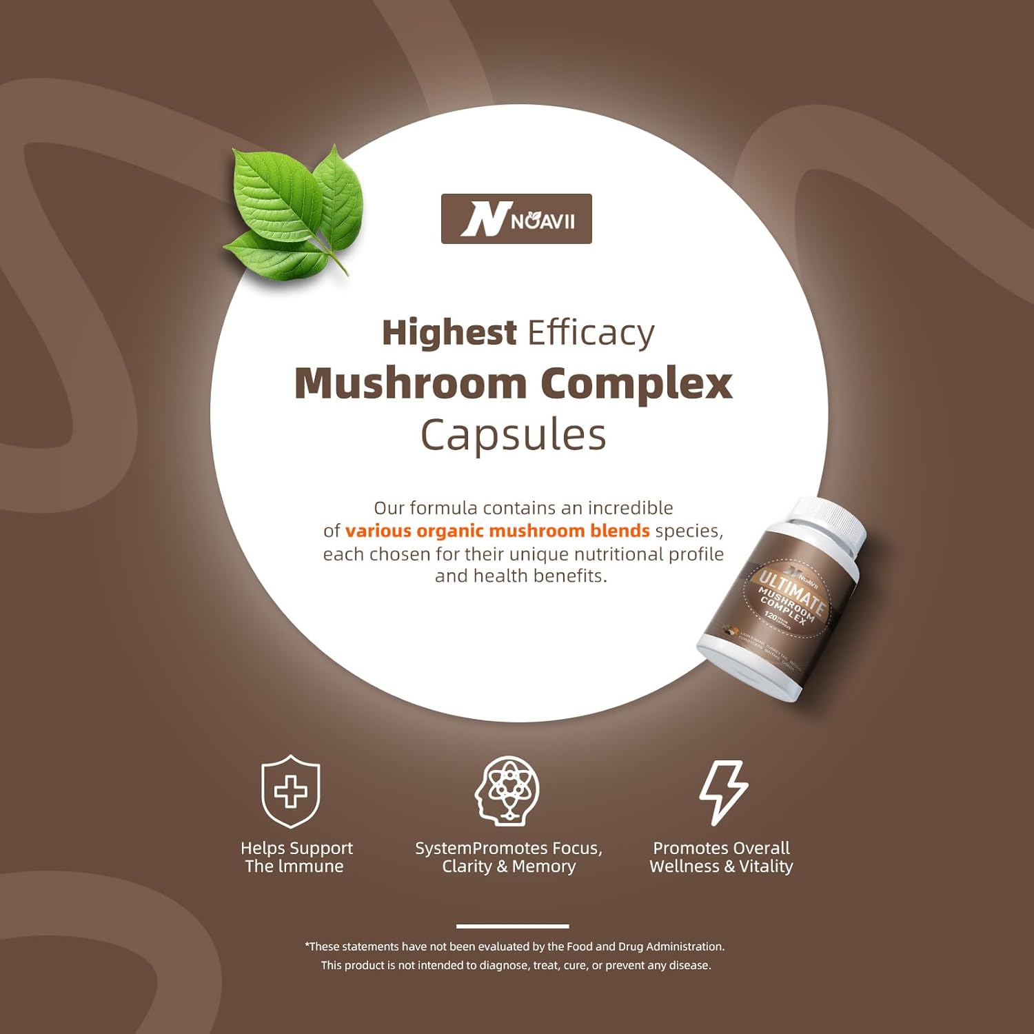 Premium Nootropic Mushroom Complex Supplement - 10 Mushrooms Blend for Brain, Energy, and Focus - 2600mg, 120 Capsules