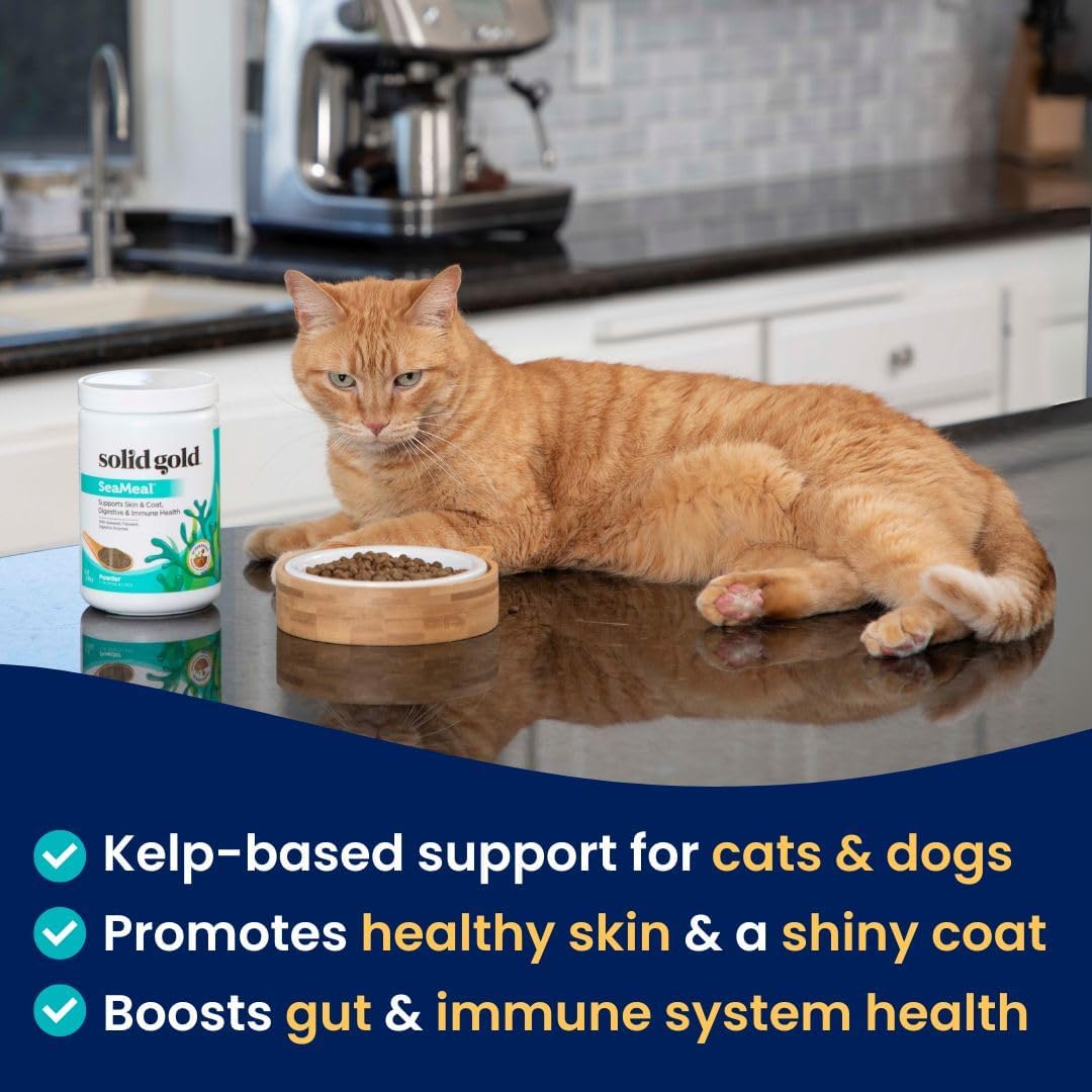 Premium Pet Vitamin Supplements with Kelp Powder, Omega 3, Vitamins, Digestive Enzymes, and Immune Support - 1 LB