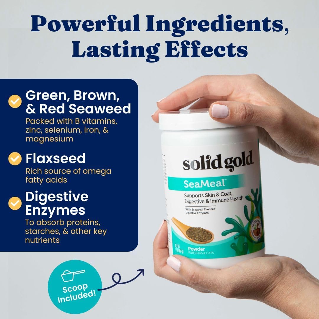 Premium Pet Vitamin Supplements with Kelp Powder, Omega 3, Vitamins, Digestive Enzymes, and Immune Support - 1 LB