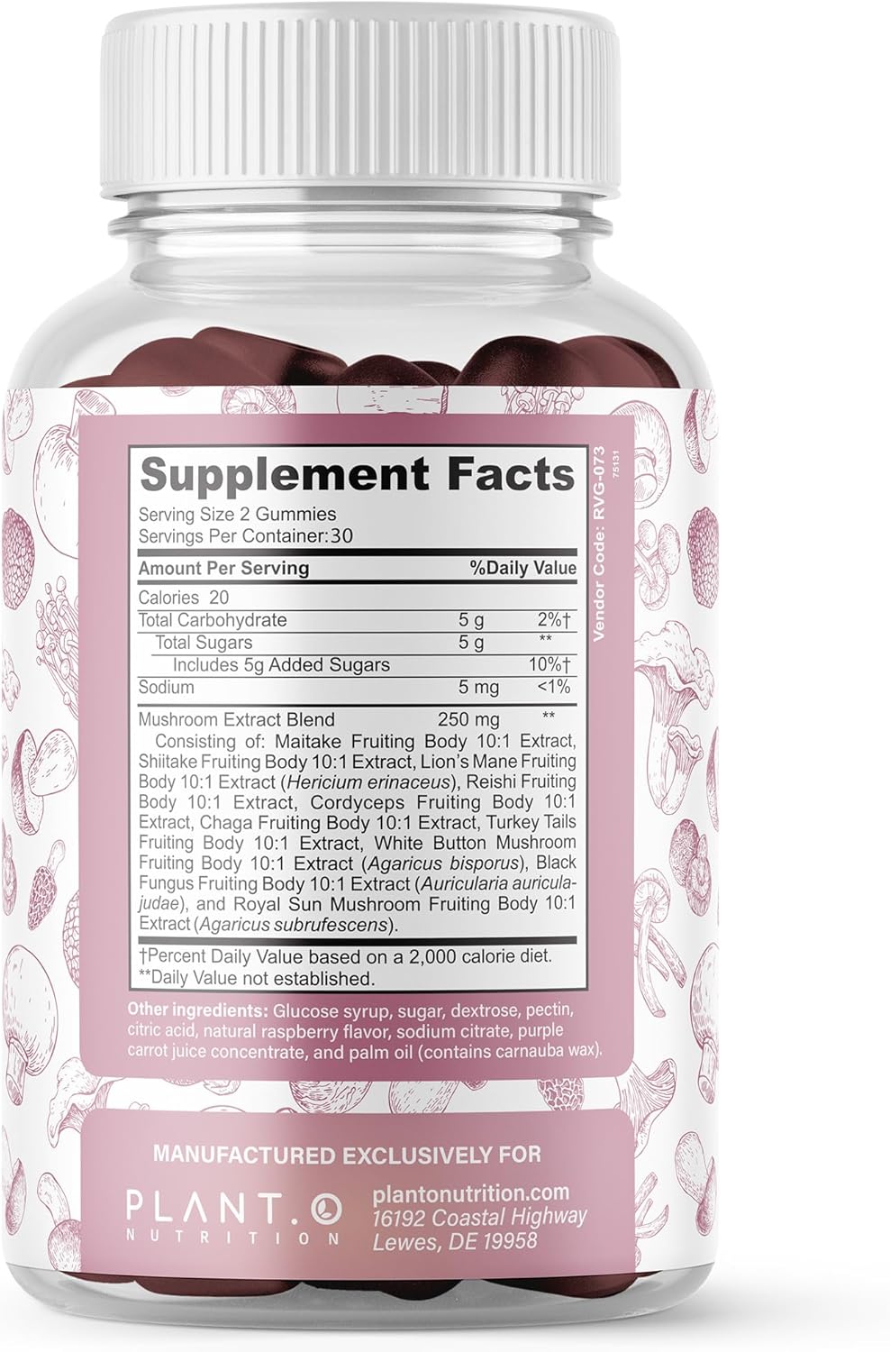 Premium Plant-Based Mushroom Gummies: 10 Mushroom Complex with Lion's Mane, Reishi, Shiitake Extract for Brain, Immune Support, and Mood - 60 Chews